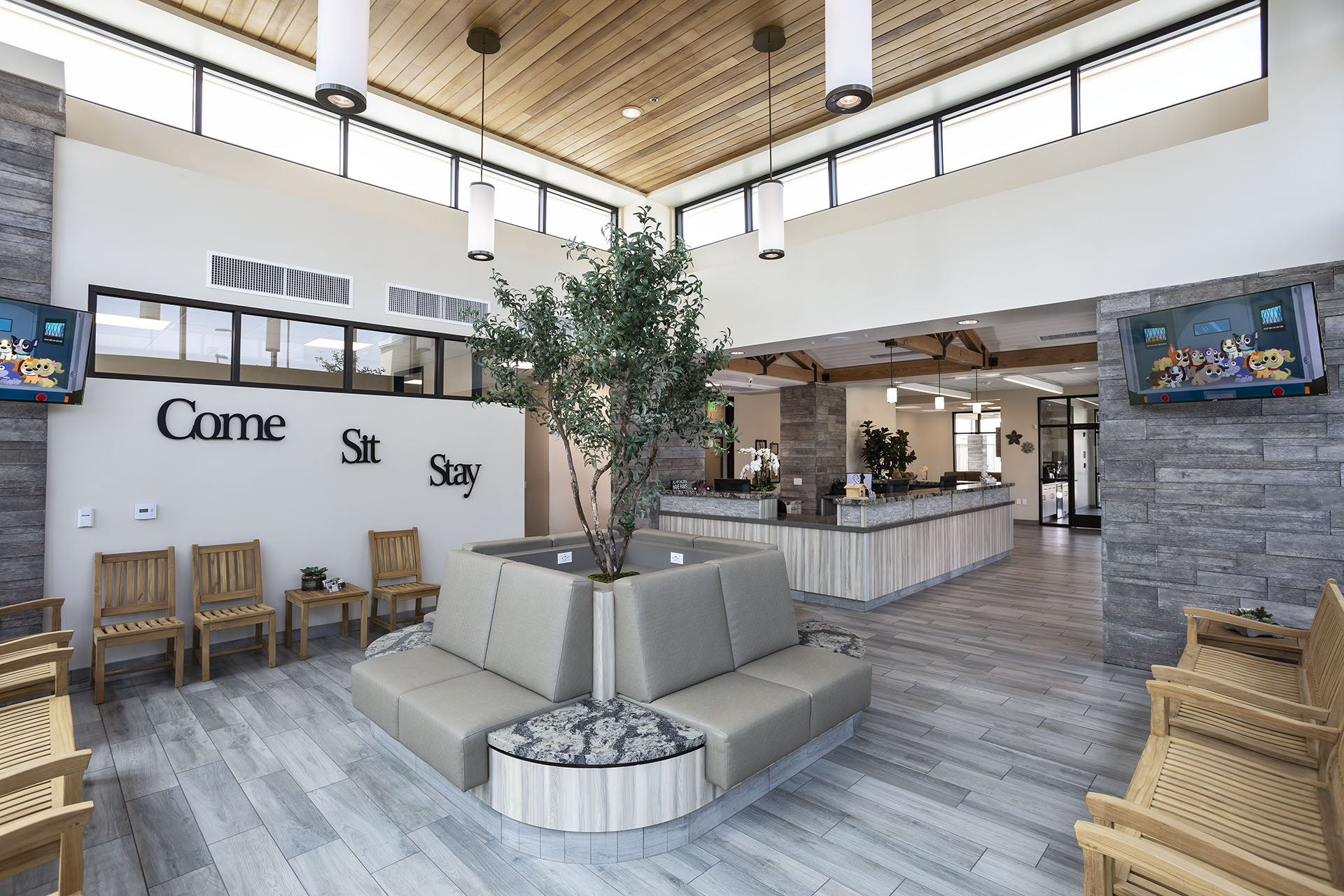 Rialto Animal Hospital: Juarez Shannon DVM Rialto