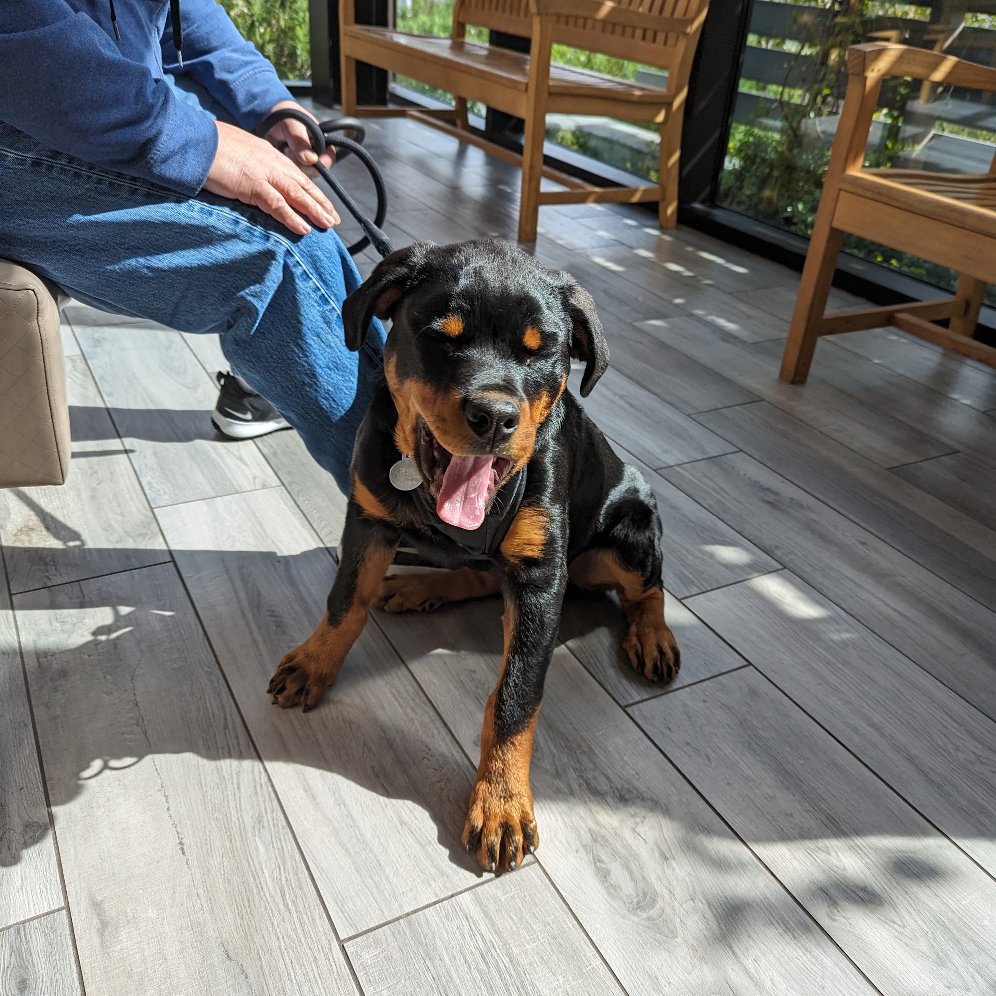 Rialto Animal Hospital: Juarez Shannon DVM Rialto