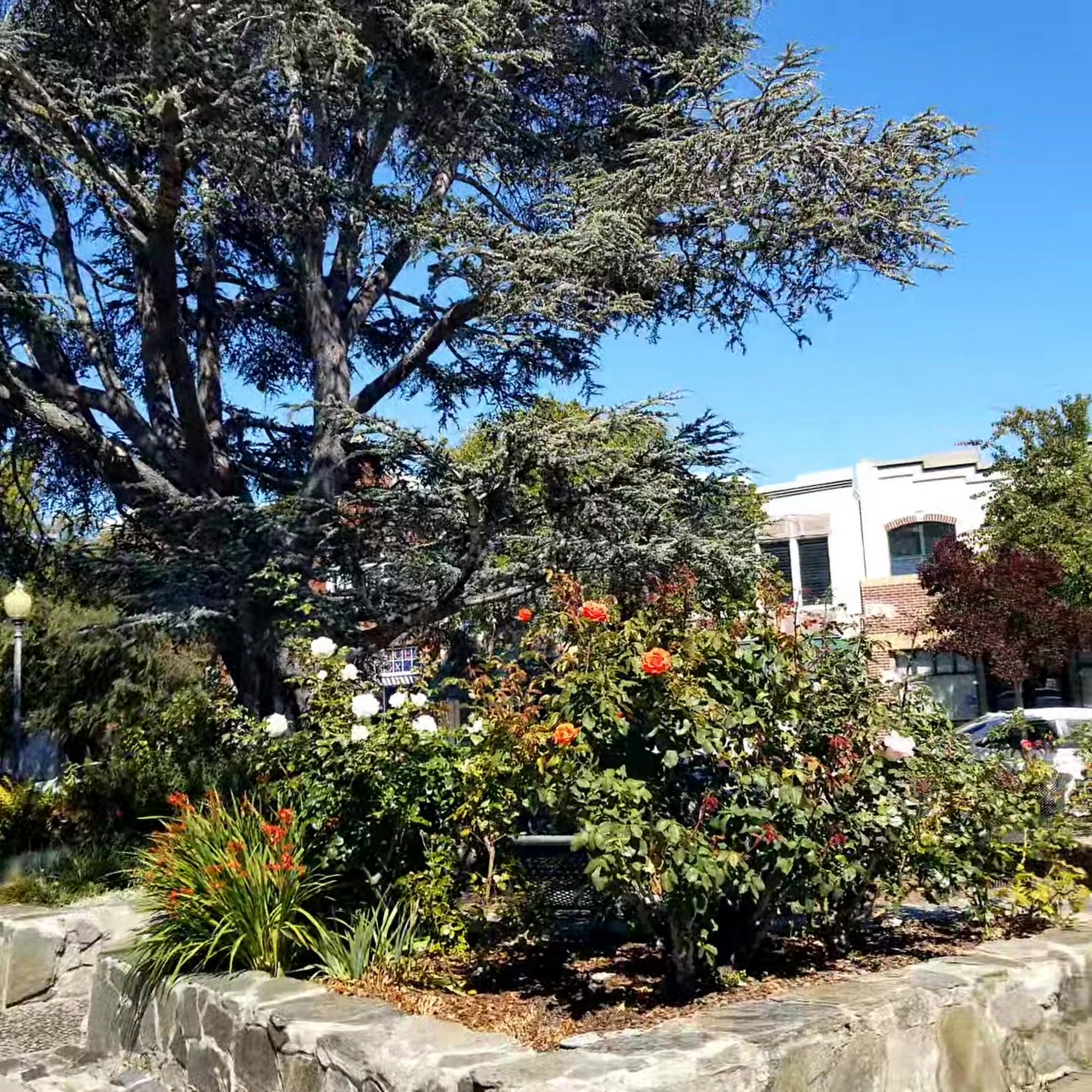 Point Richmond Community Center Richmond