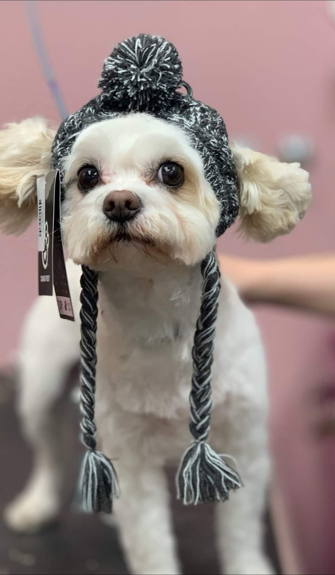 Pawlished Paws Boutique & Spa Inc. Riverside