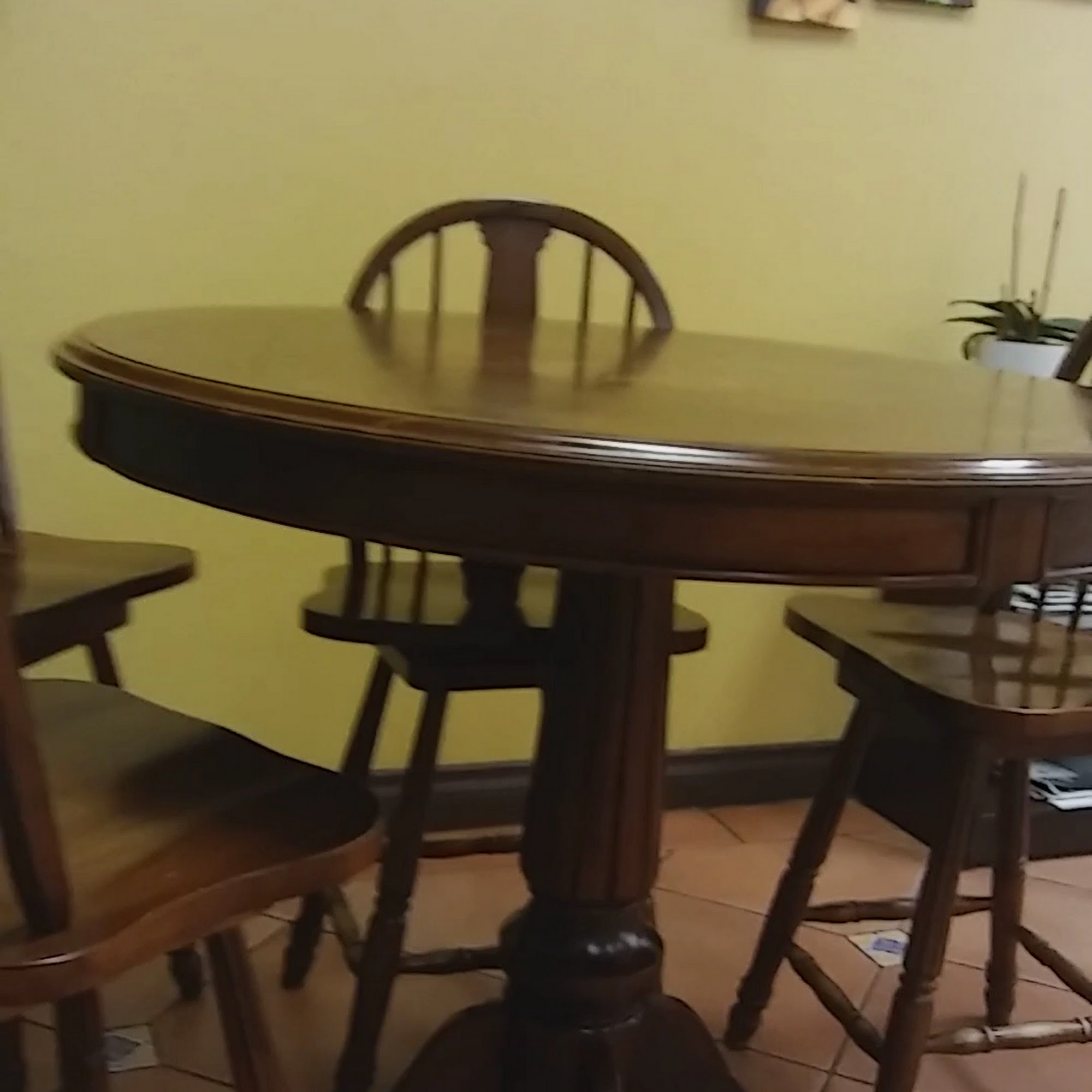 Oasis Vegetarian Cafe Riverside