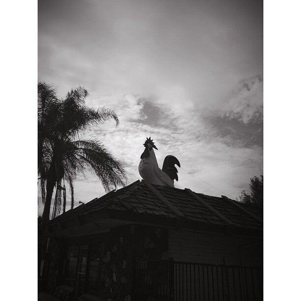 Photo credit: nextdoor