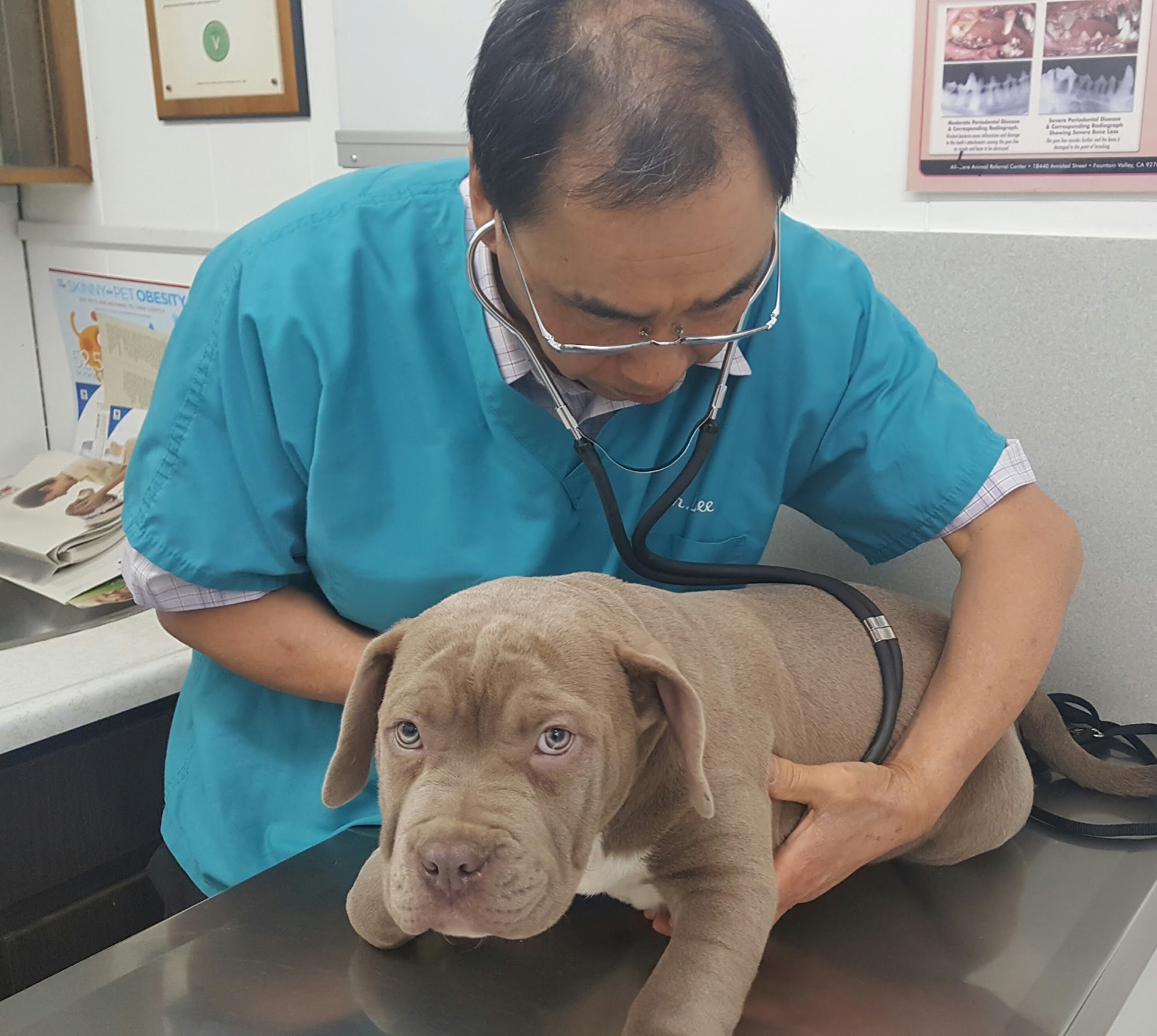 Center-La Sierra Pet Clinic Riverside