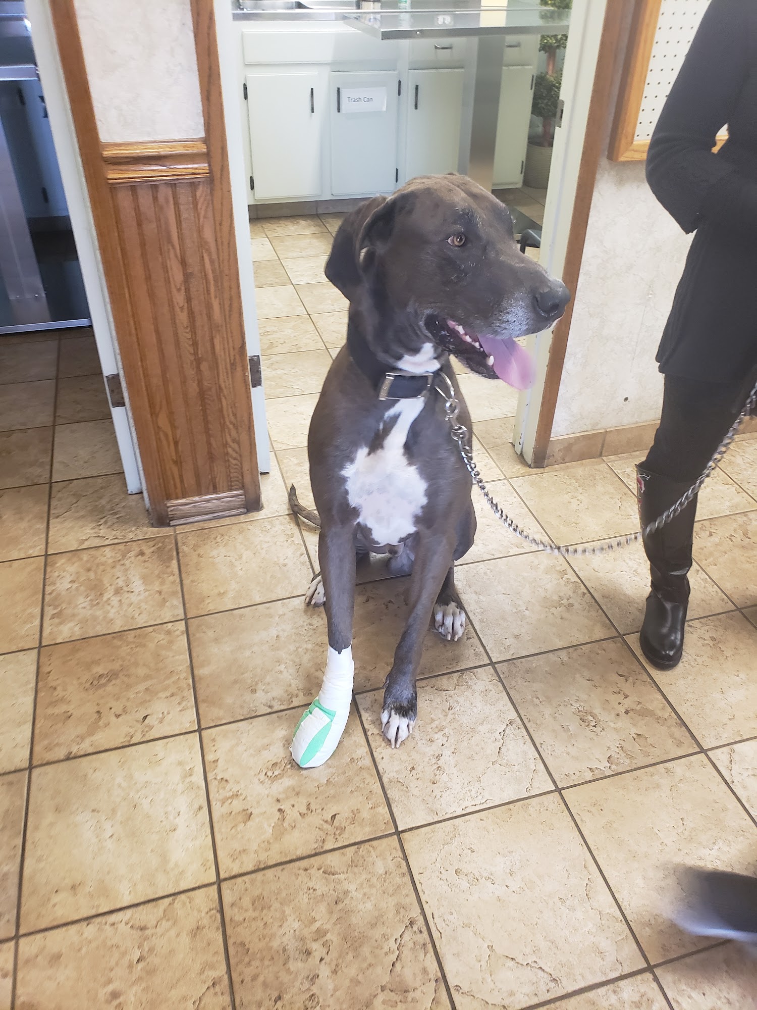 Pedley Veterinary Hospital Riverside