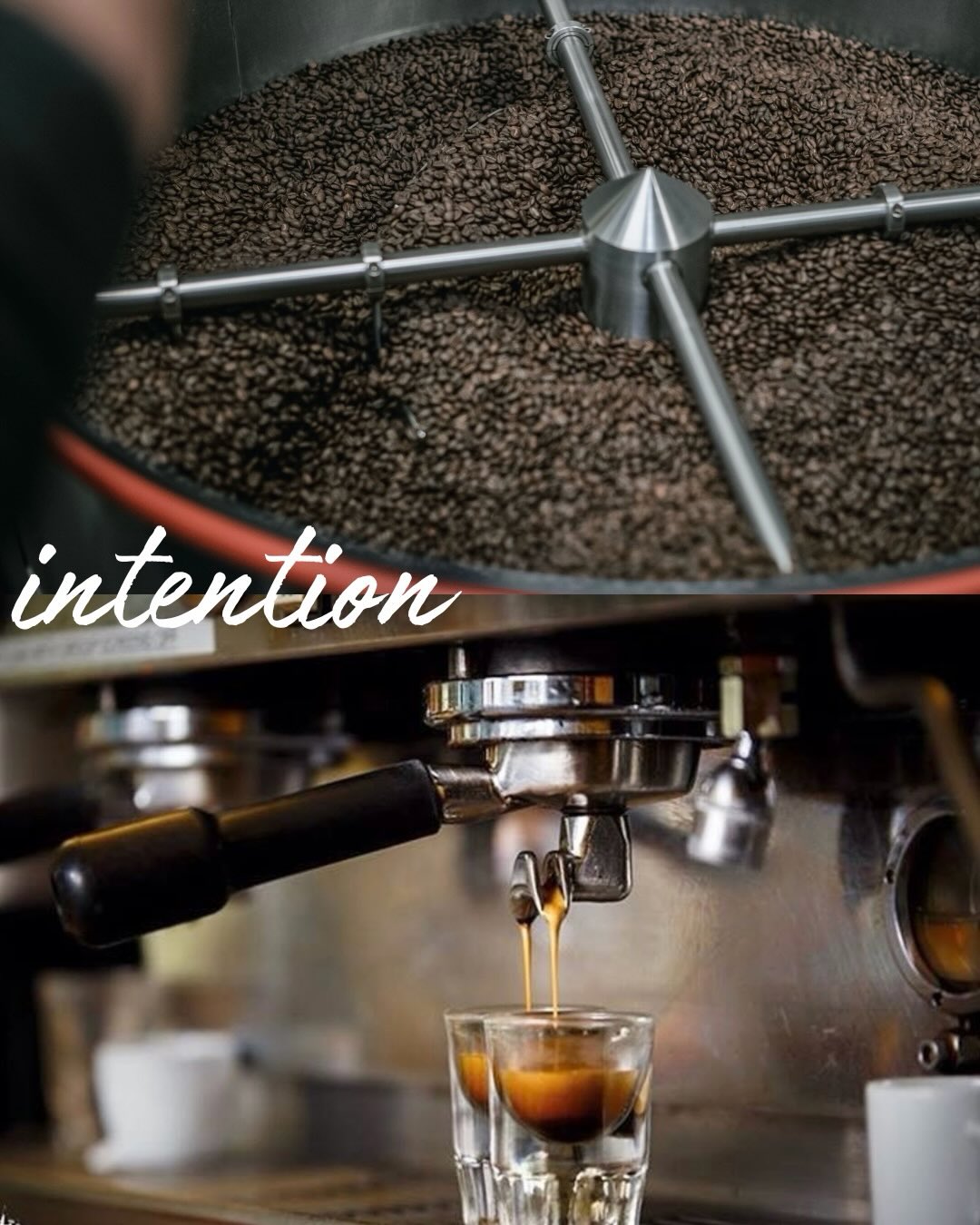 DCH Roasters - Meridian