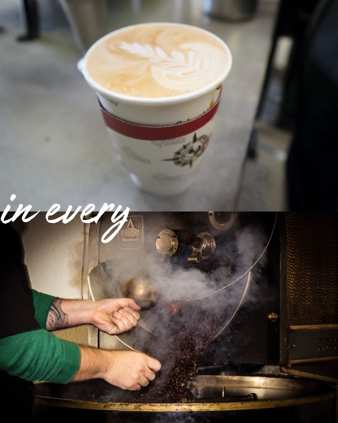 DCH Roasters - Meridian