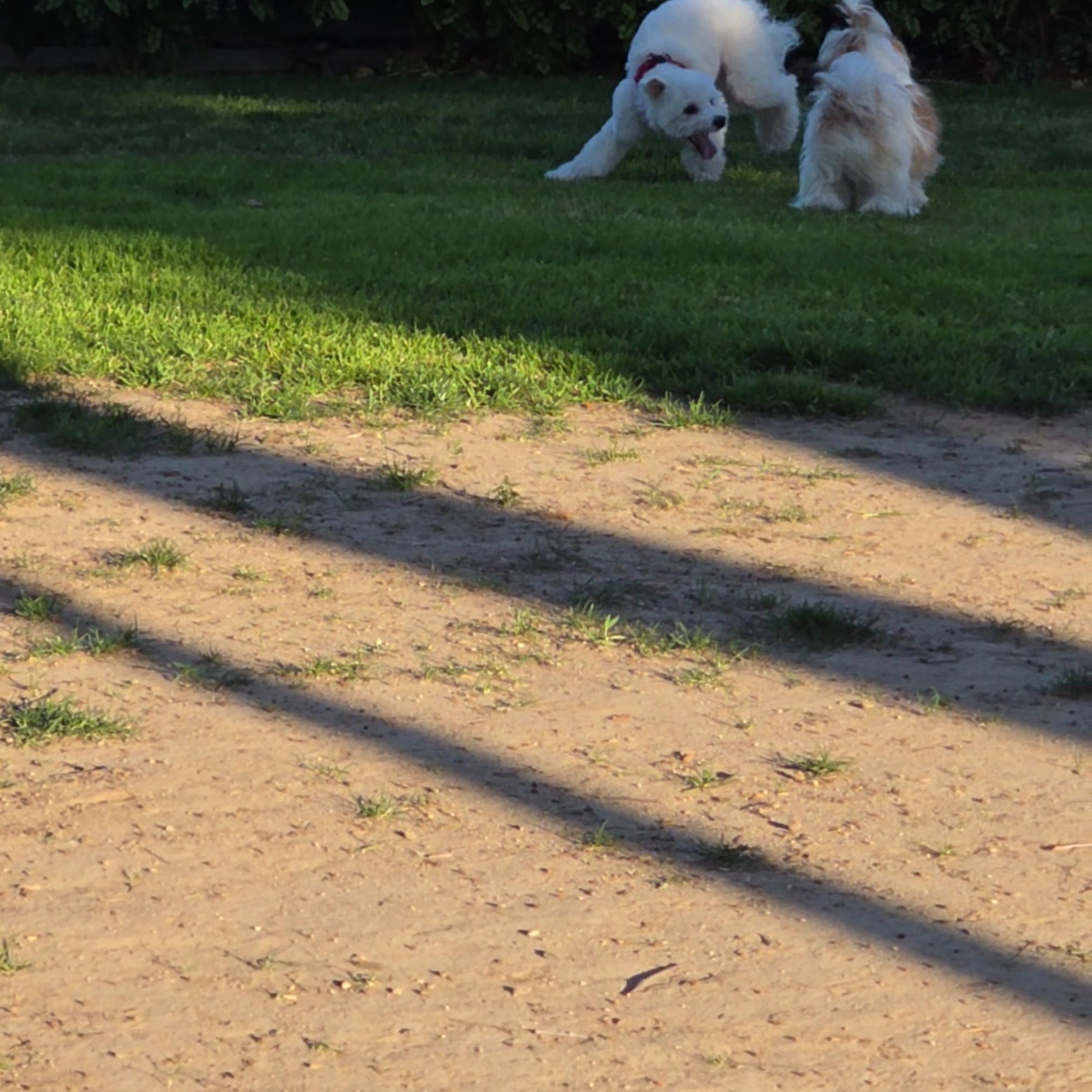 Riverwalk Dog Park Riverside