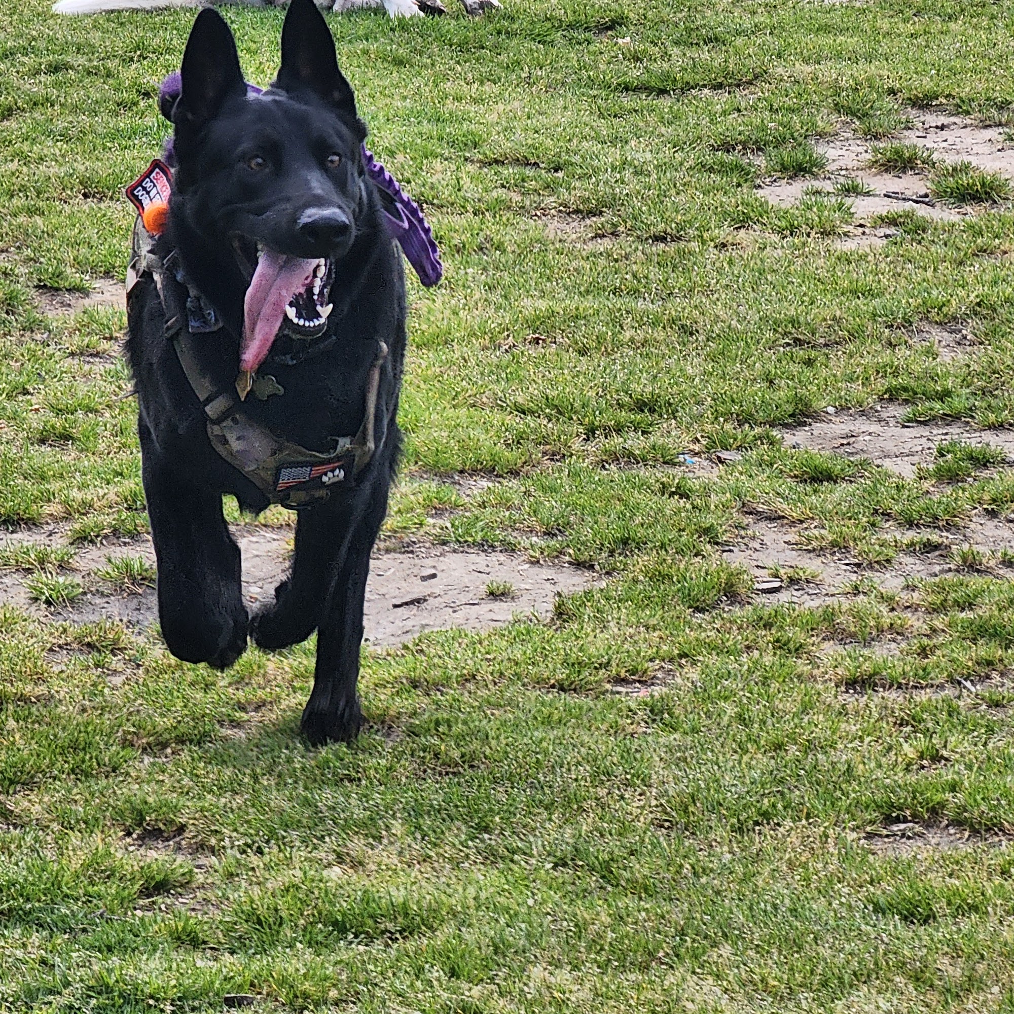 Carlson Park Riverside