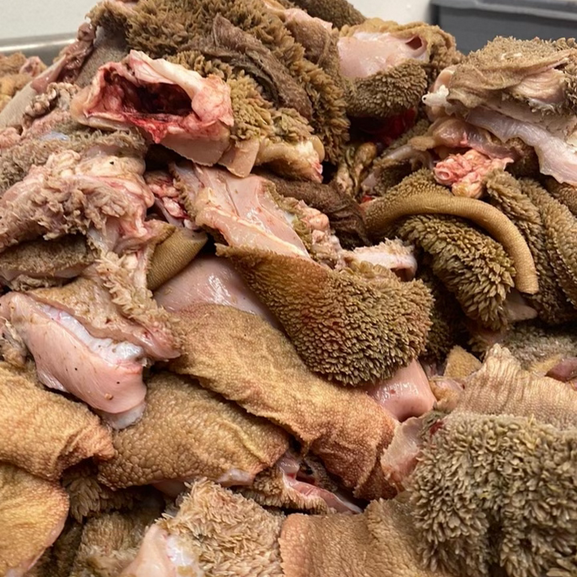 Tapia Raw Meats For Pet Food Riverside