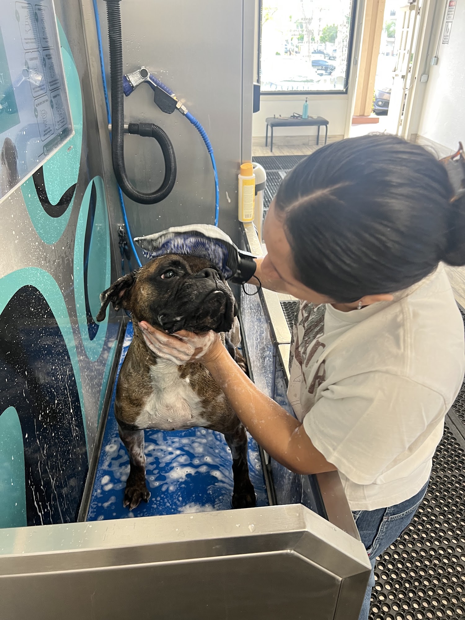 Immaculate Paws Riverside