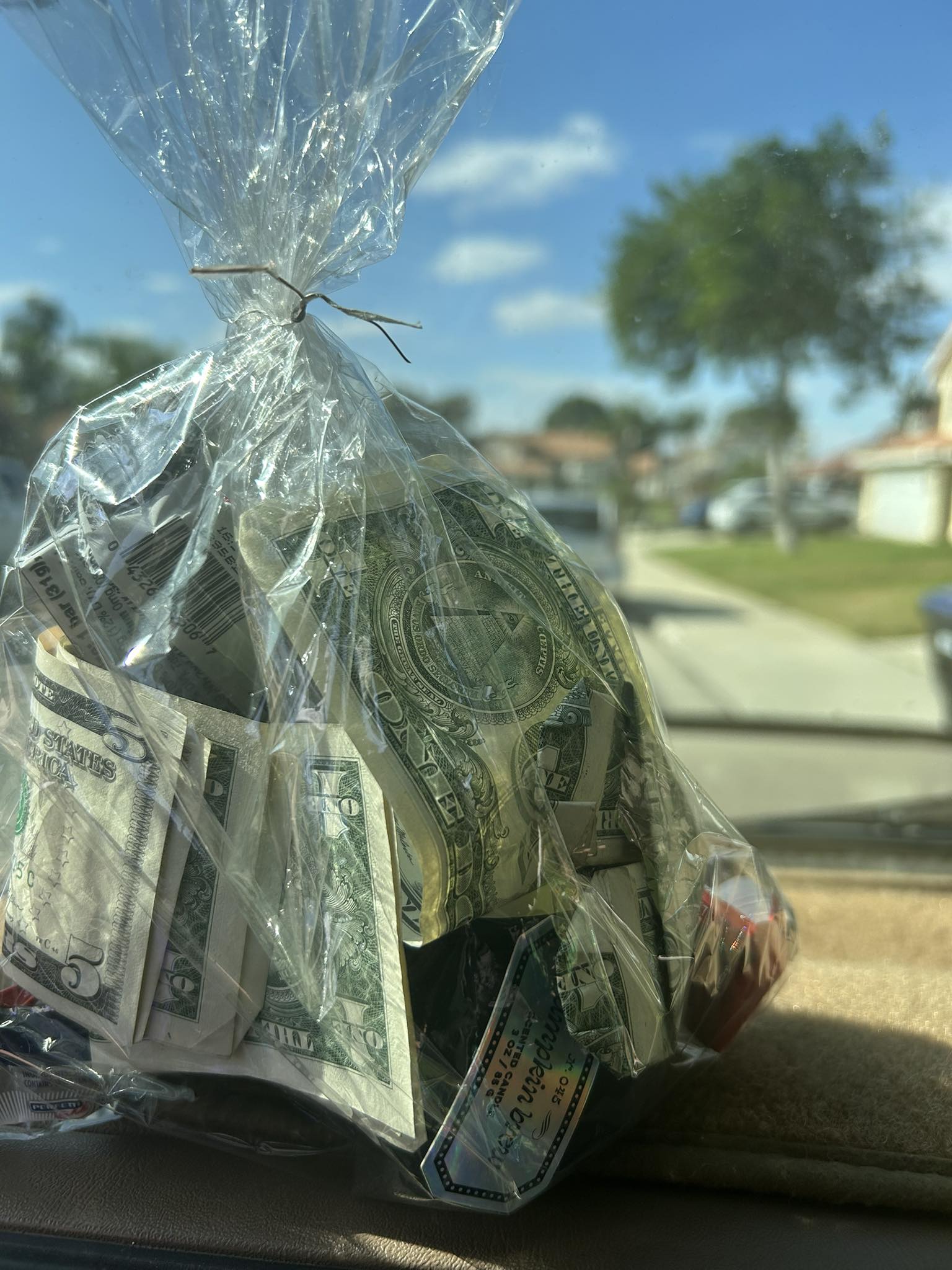 Beauty Box for Paws Riverside