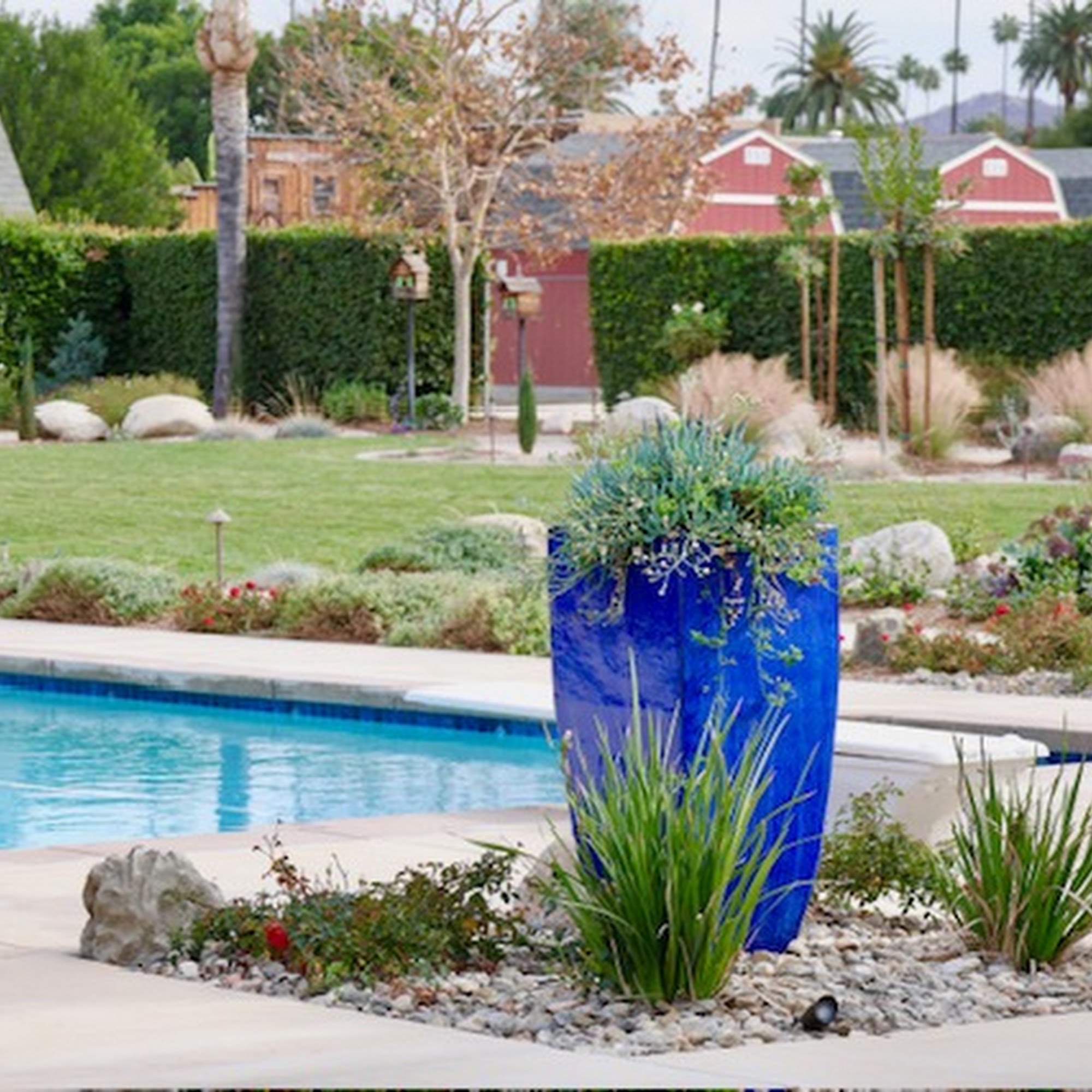 Paramount Landscape & Irrigation, Inc.