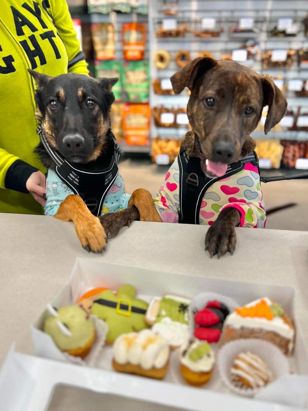 Three Dog Bakery - Riverside Riverside