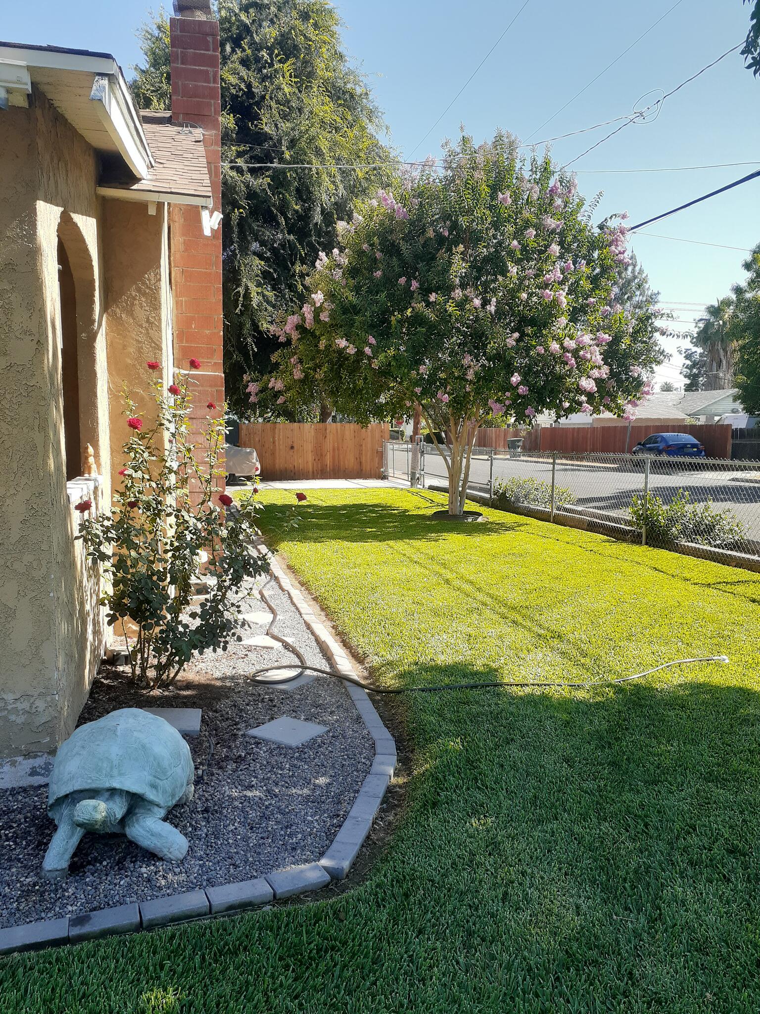 Joyfulpreciouspups Boarding With Love Riverside