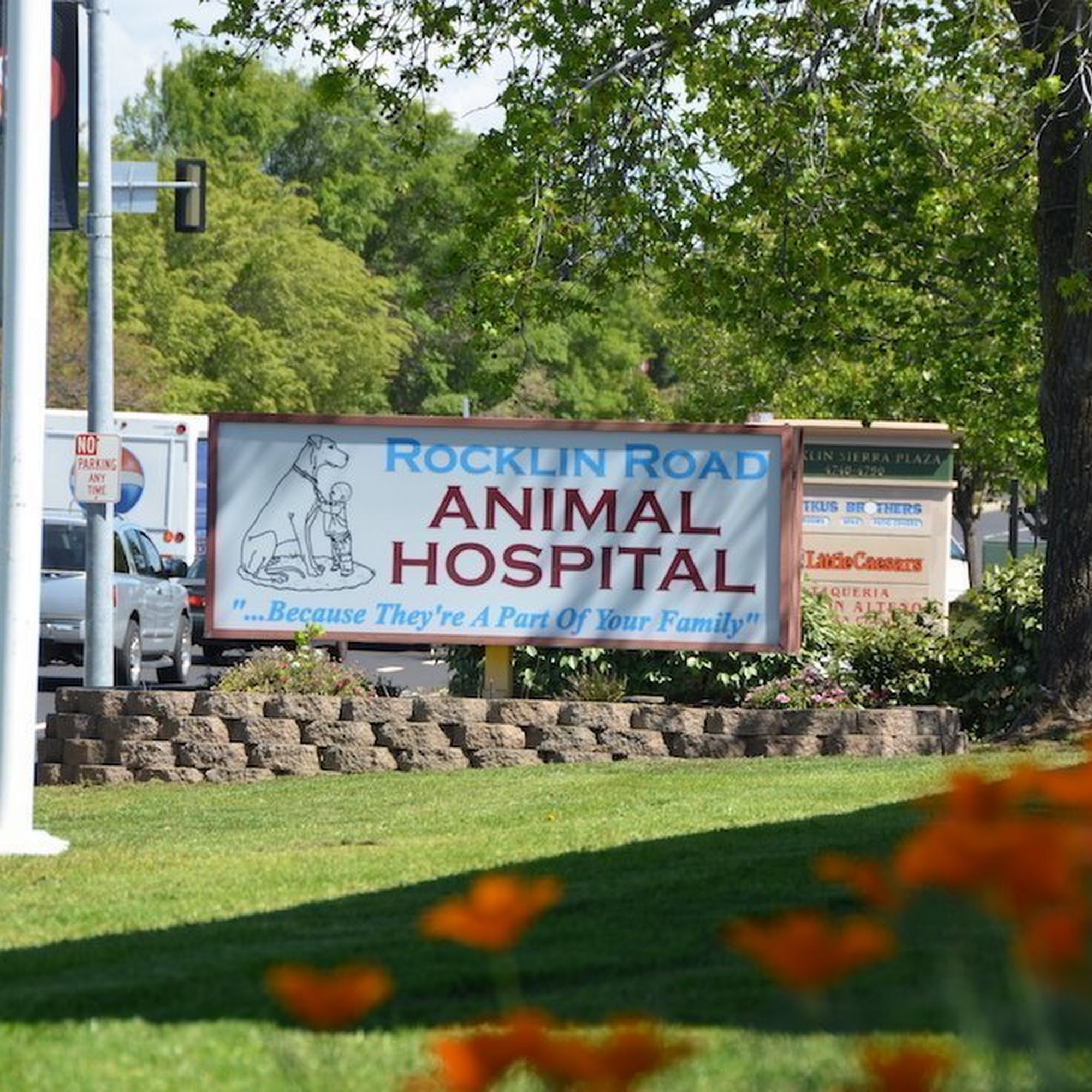 Rocklin Road Animal Hospital Rocklin