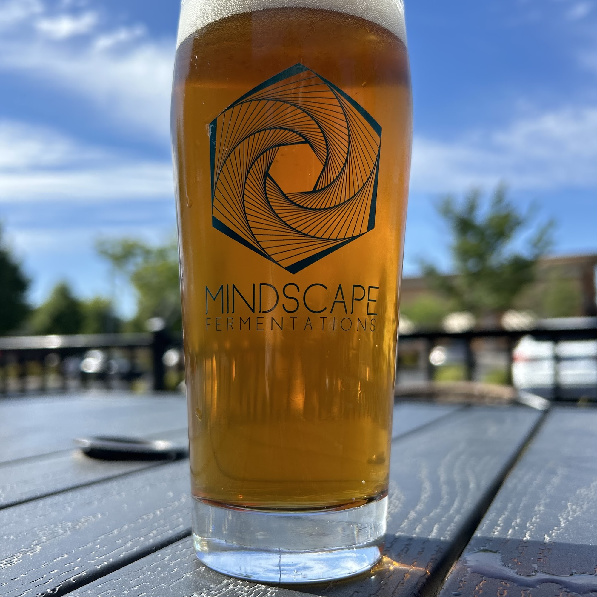 Mindscape Fermentations Rocklin