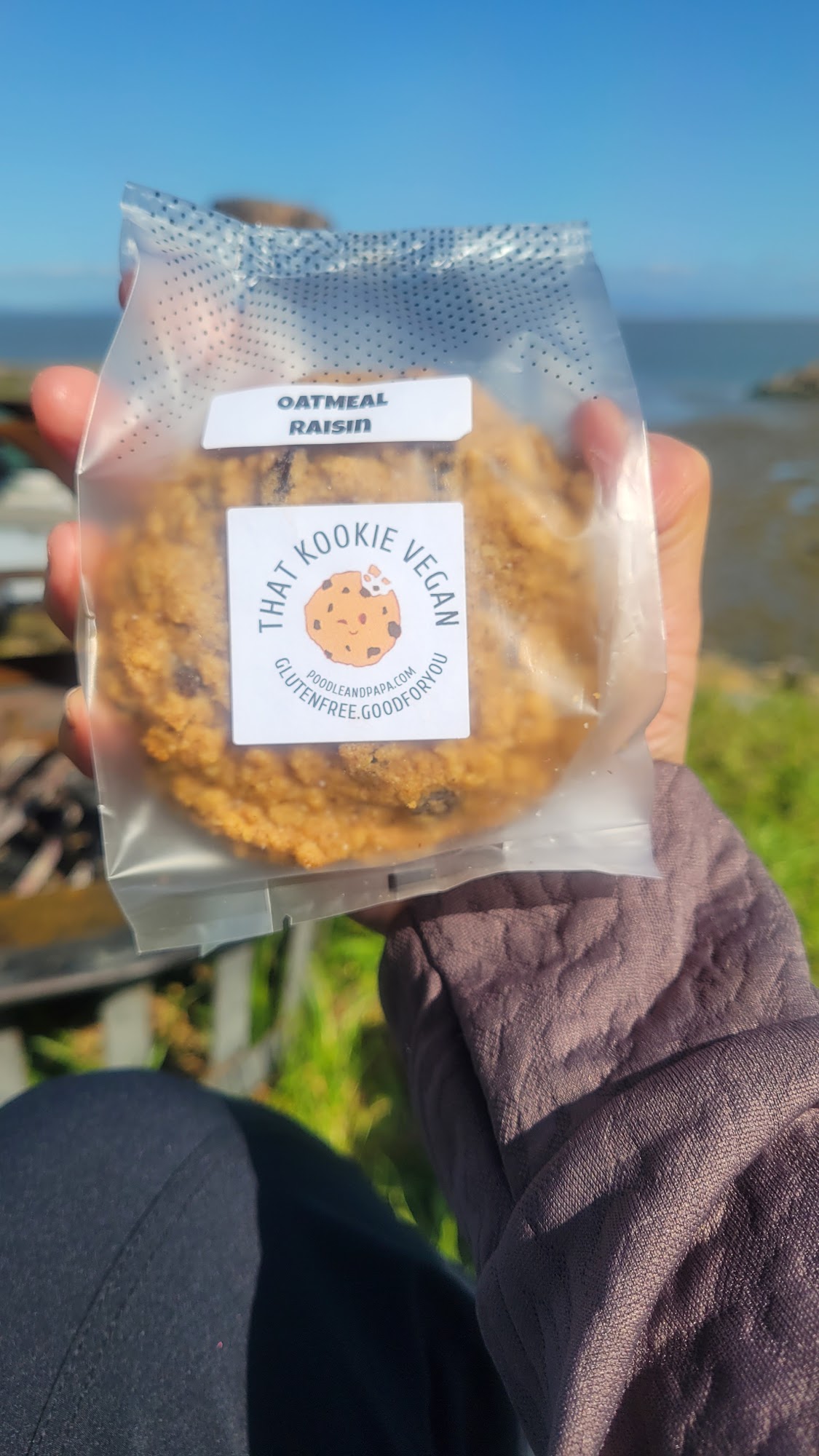 The Loony Bean Rodeo