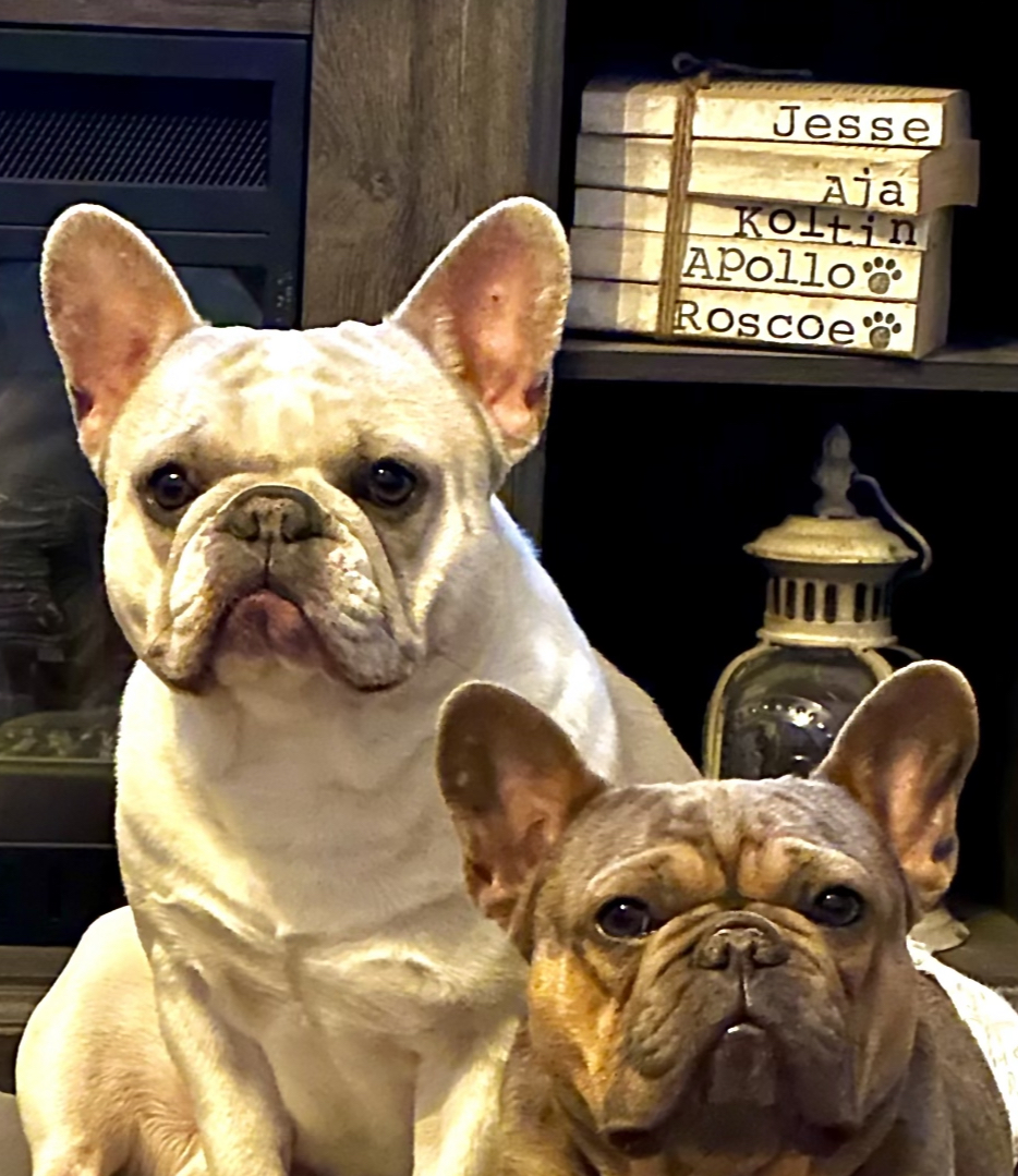 VCA Animal Care Center of Sonoma County Rohnert Park