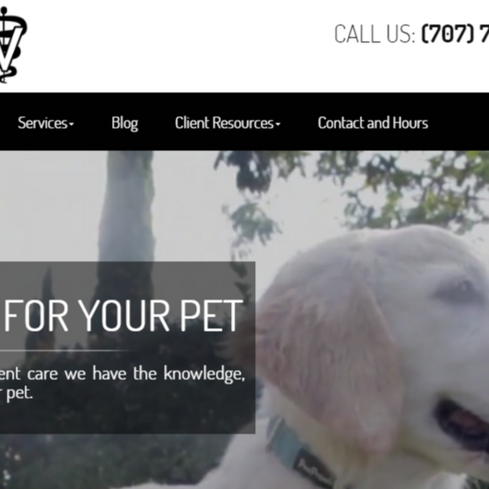 Rohnert Park Veterinary Clinic Rohnert Park