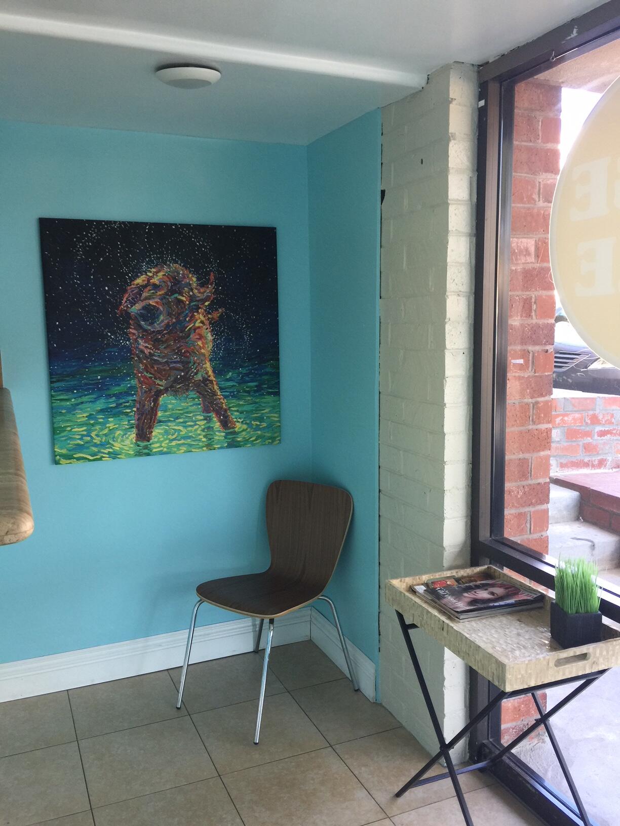 A Day at the Bay Grooming Dog Rolling Hills Estates