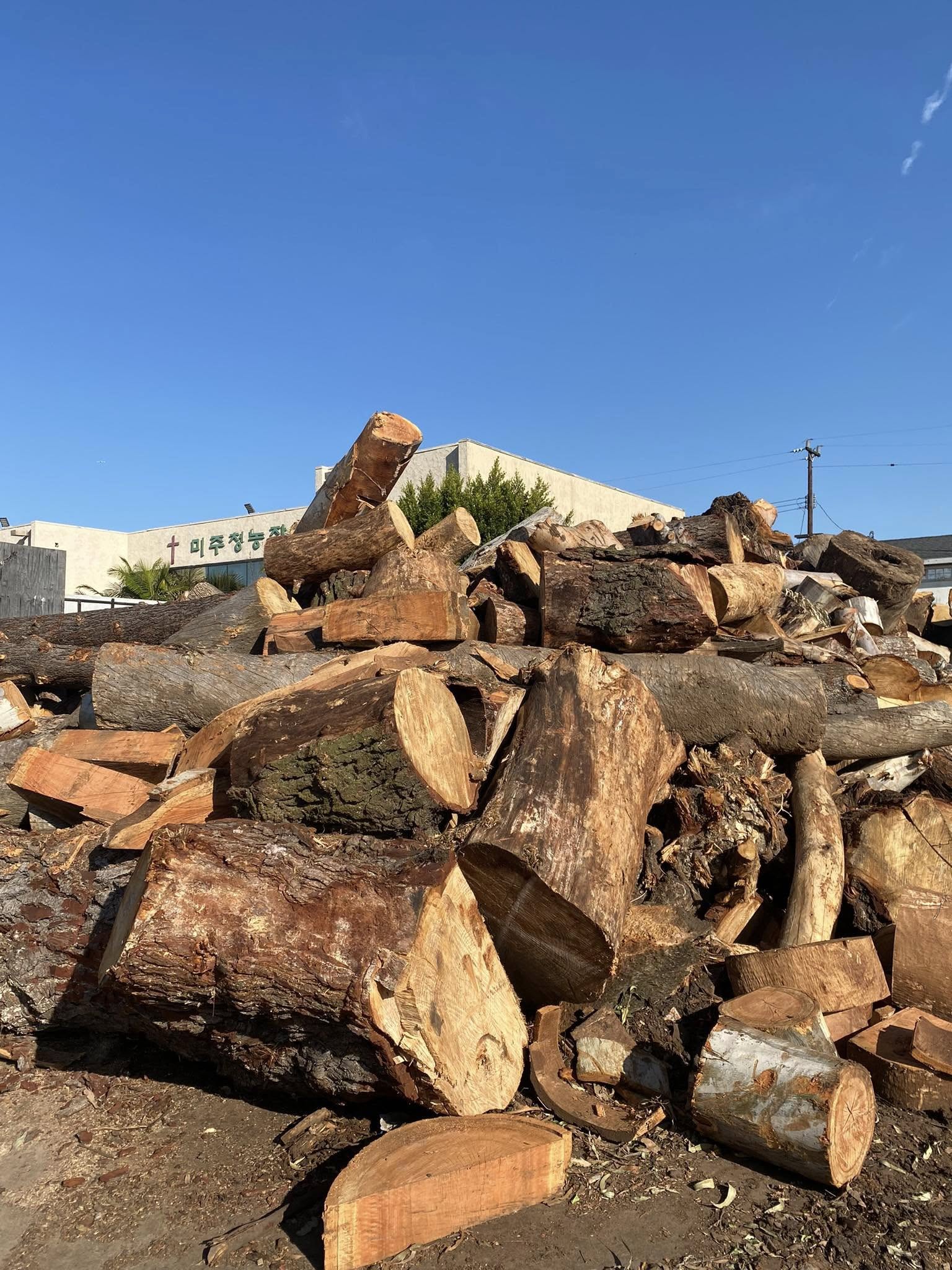 Travers Tree Service Rolling Hills