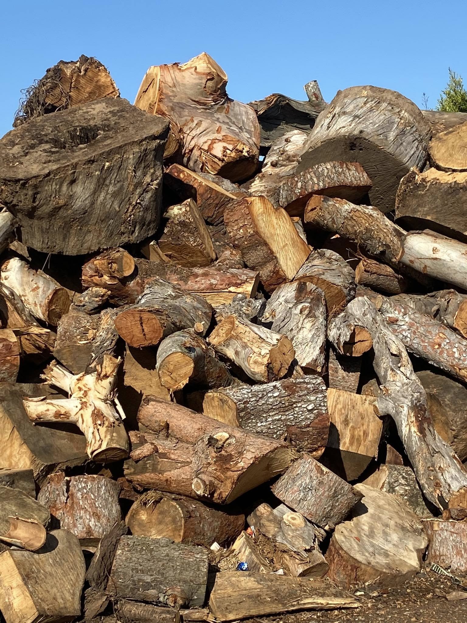 Travers Tree Service Rolling Hills