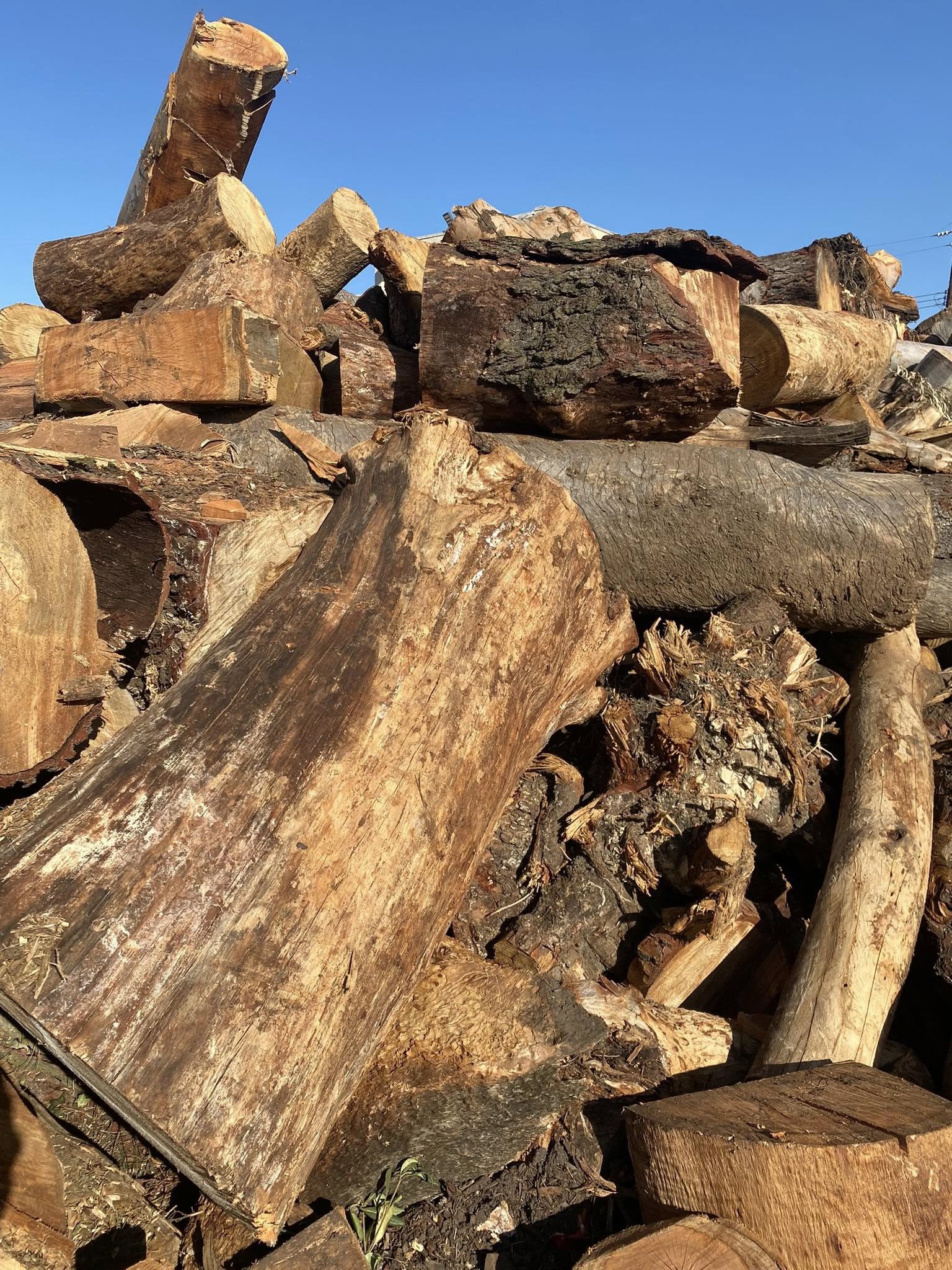 Travers Tree Service Rolling Hills