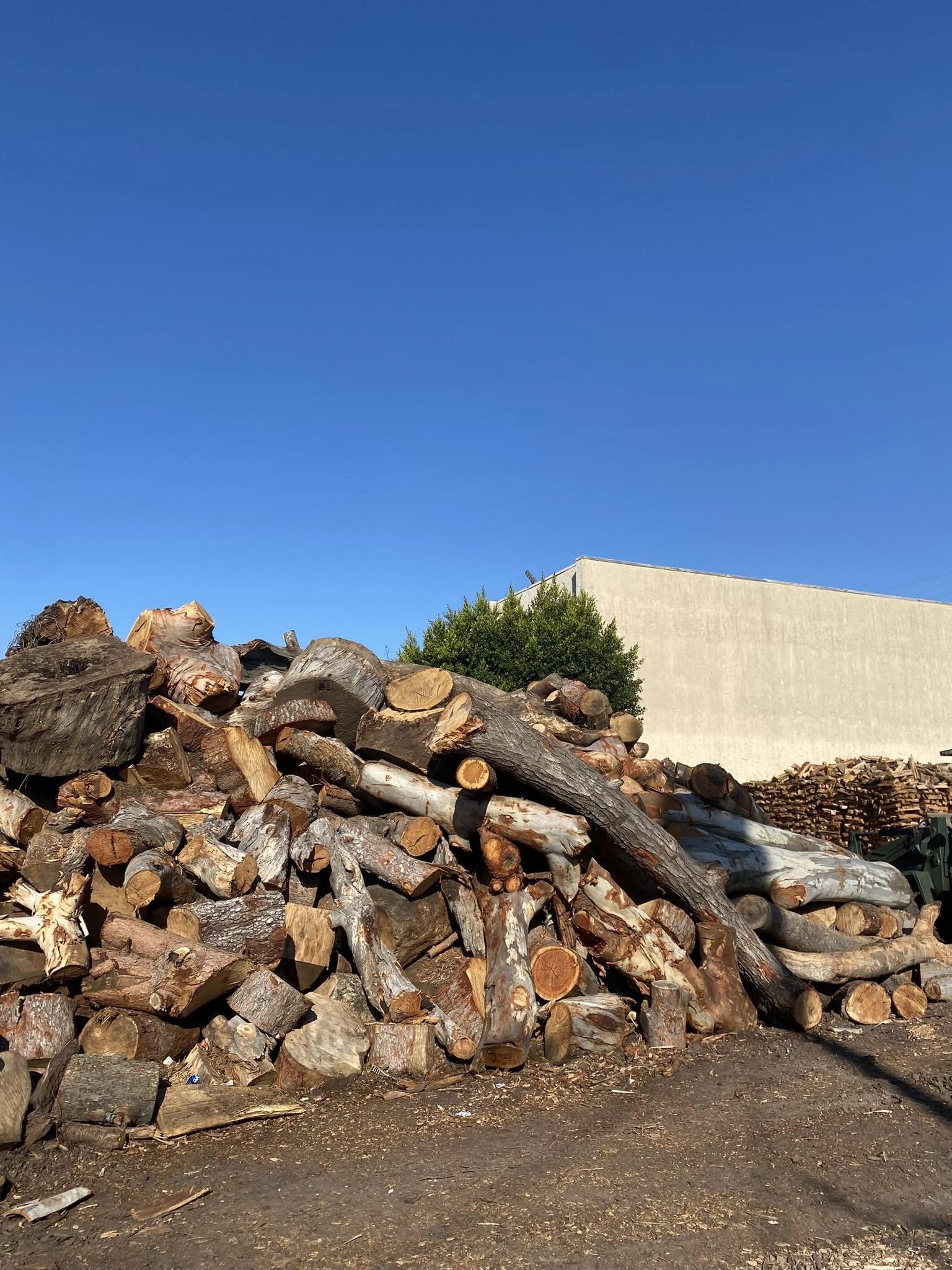 Travers Tree Service Rolling Hills