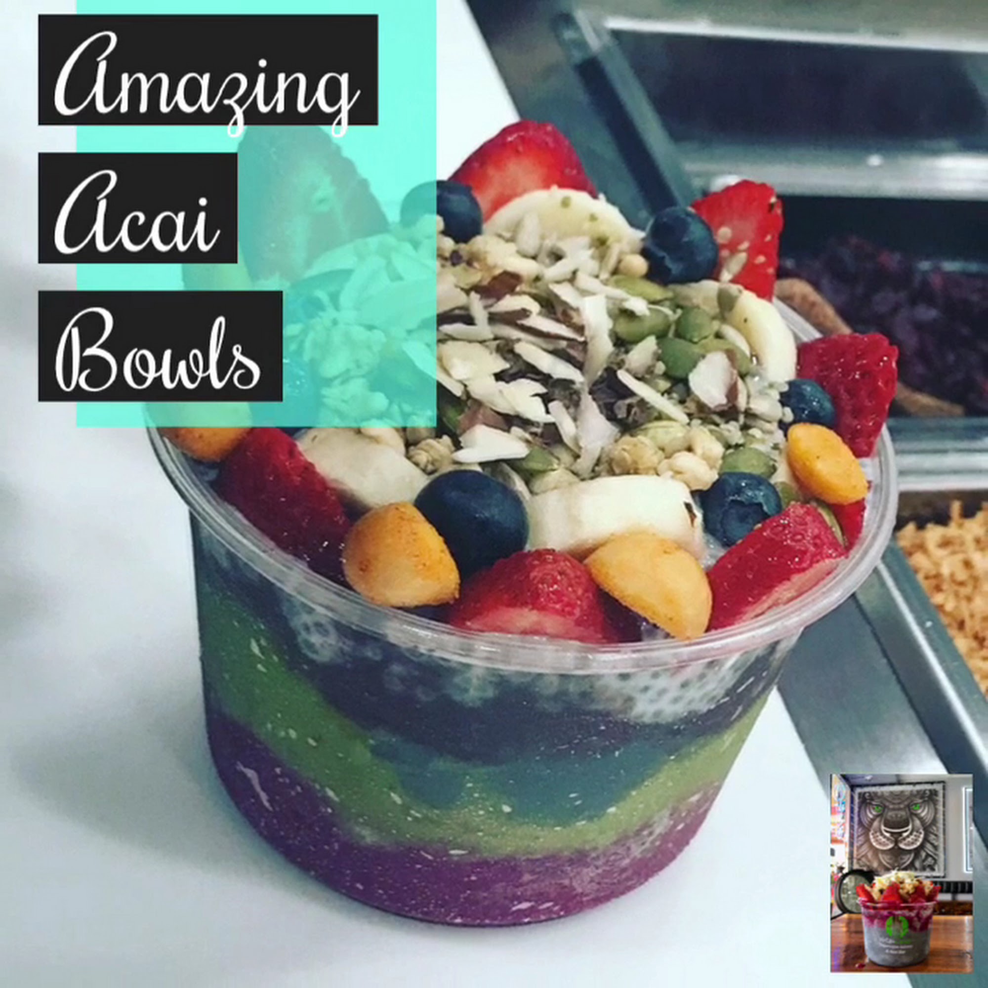 Vita Cane Rosemead Rosemead