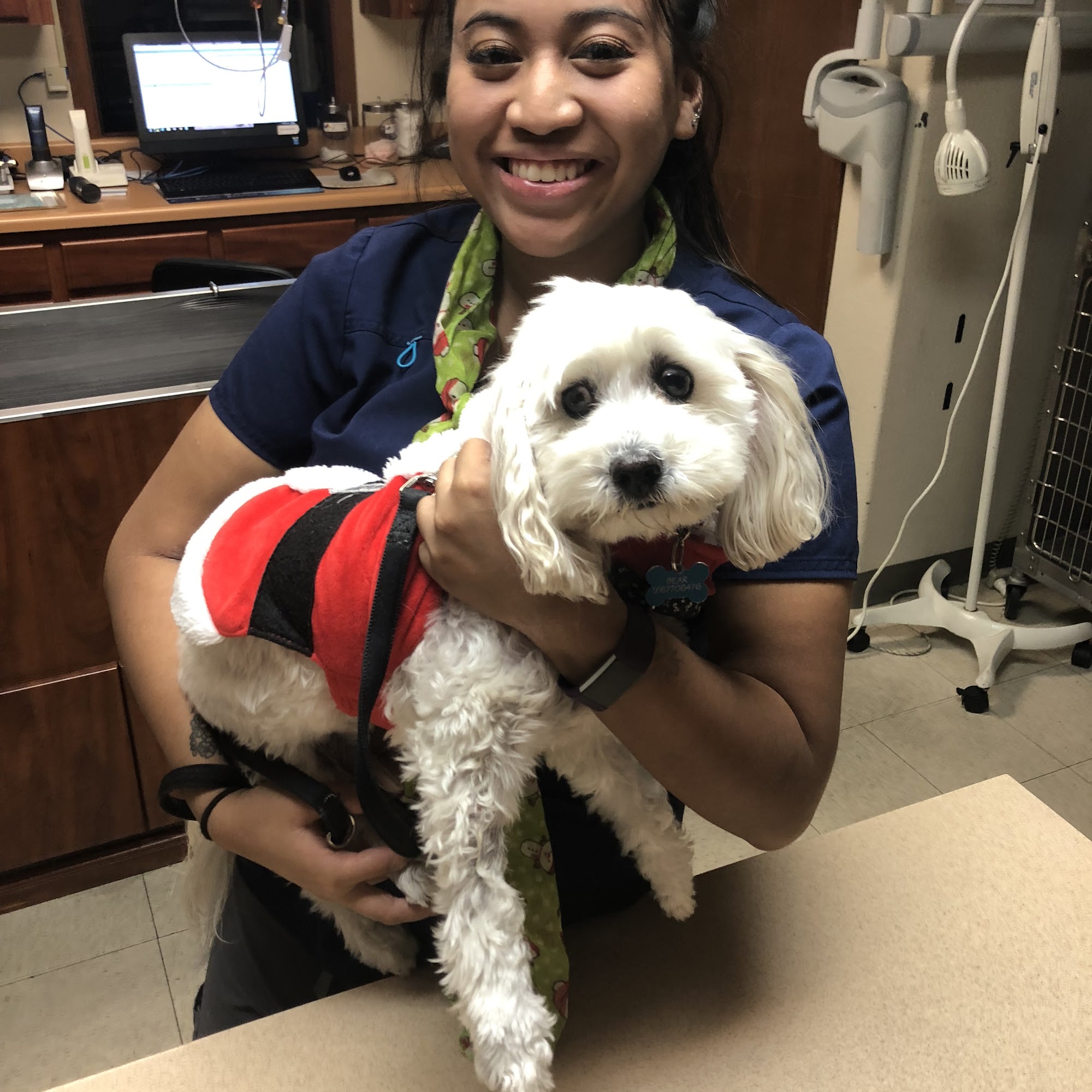 All American City Veterinary Hospital Roseville