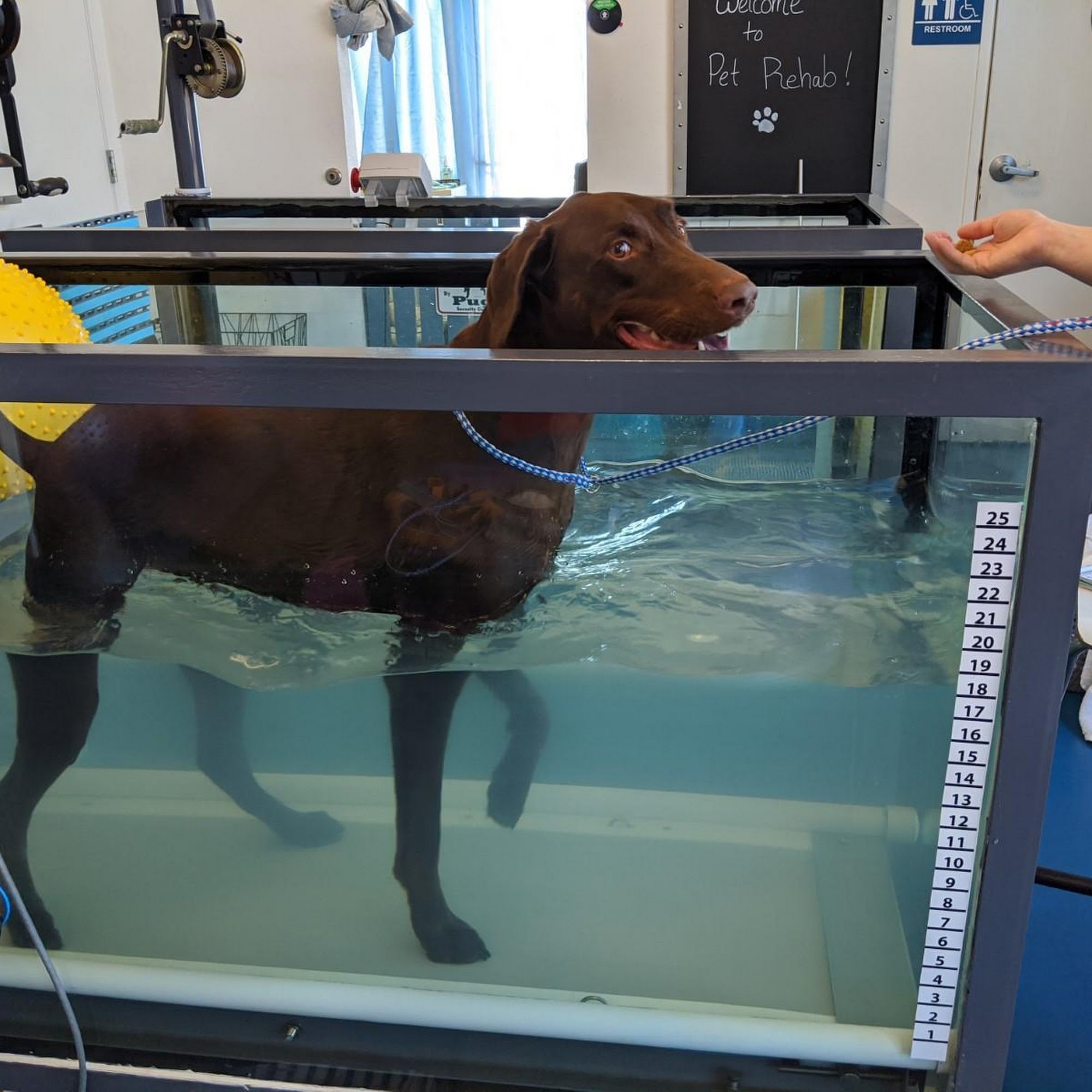 Sierra Ranch Veterinary Clinic & Pet Rehabilitation Center Roseville