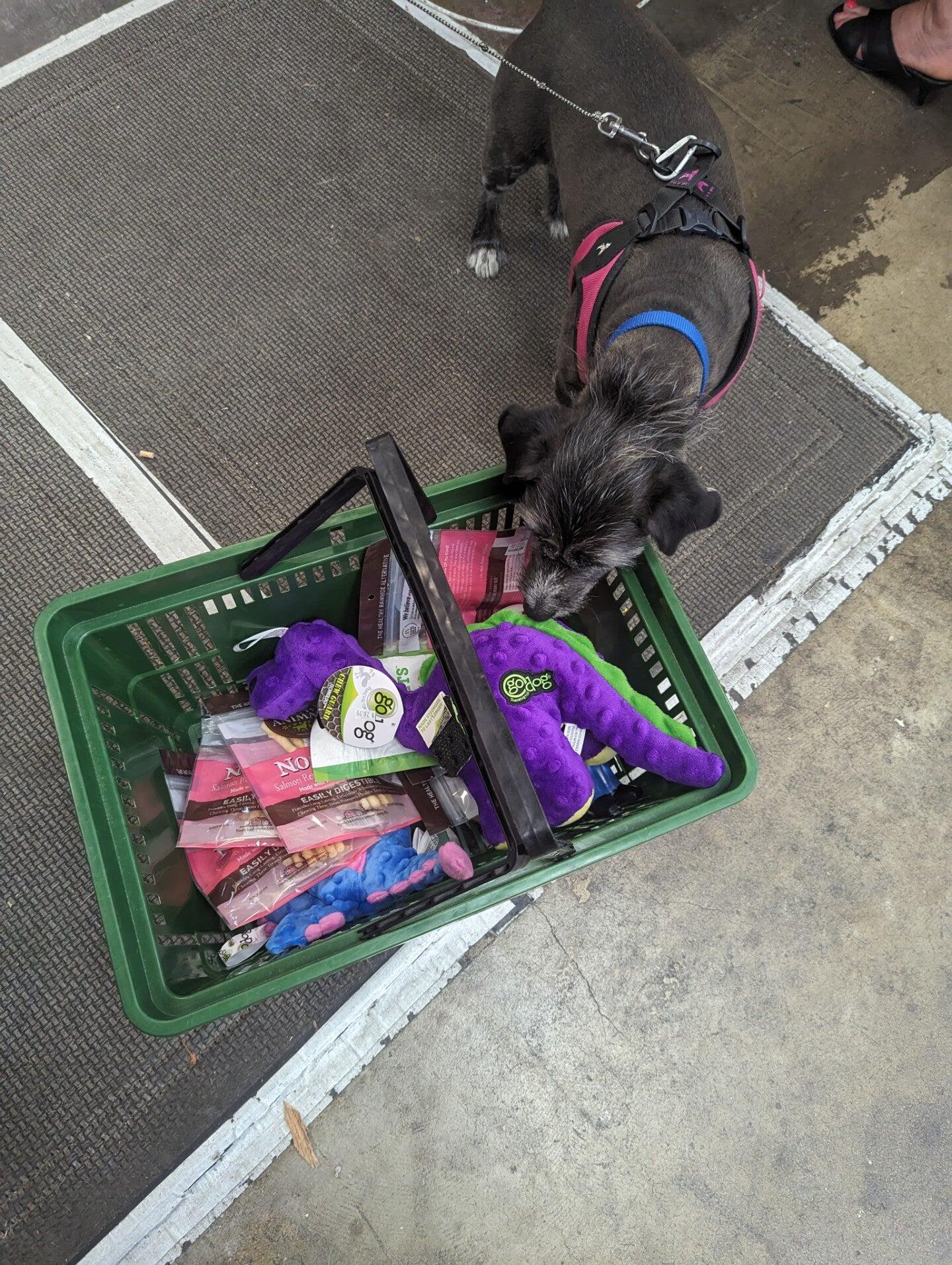 Pet Department Store Sacramento