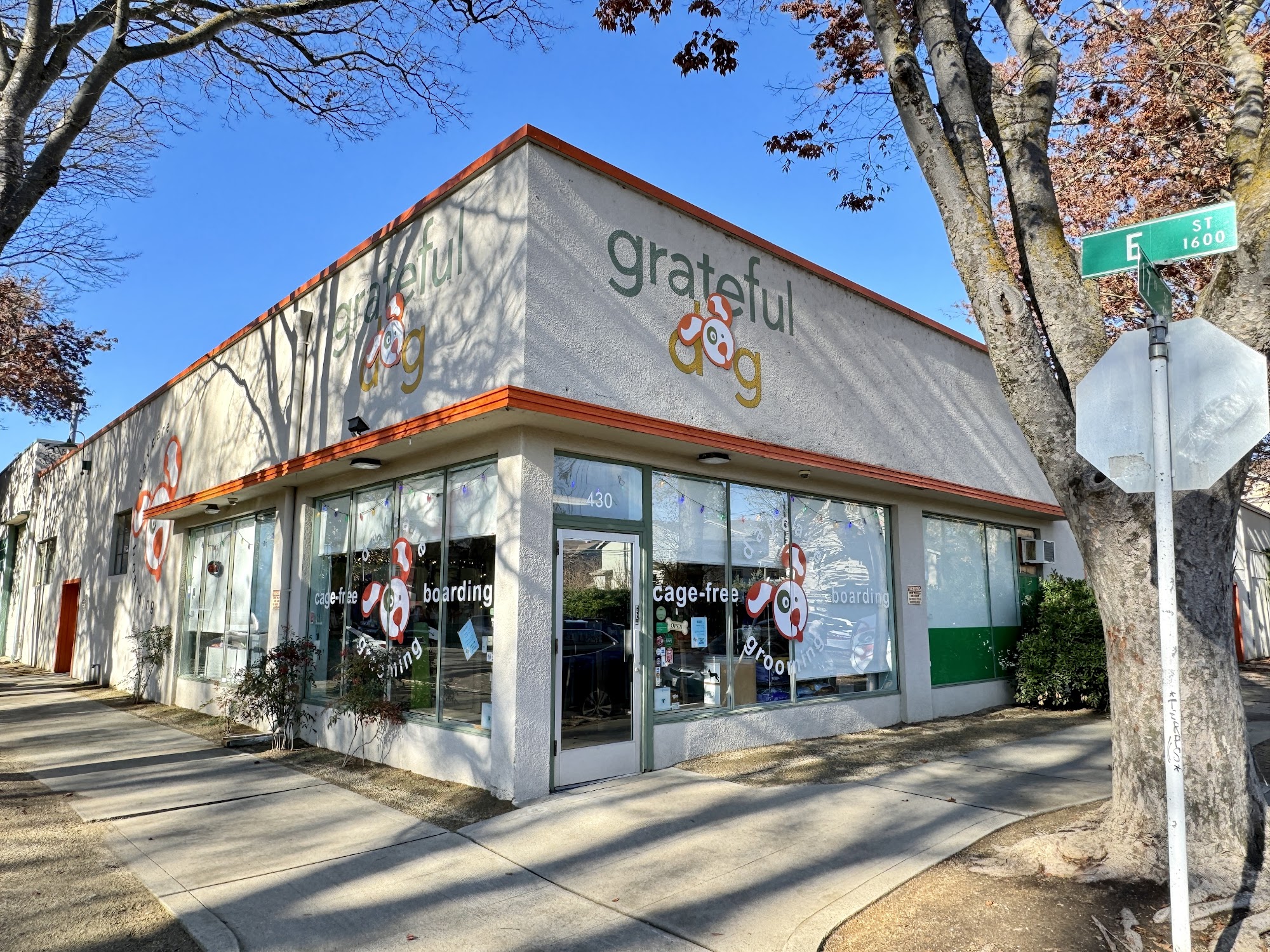 Grateful Dog Daycare Sacramento