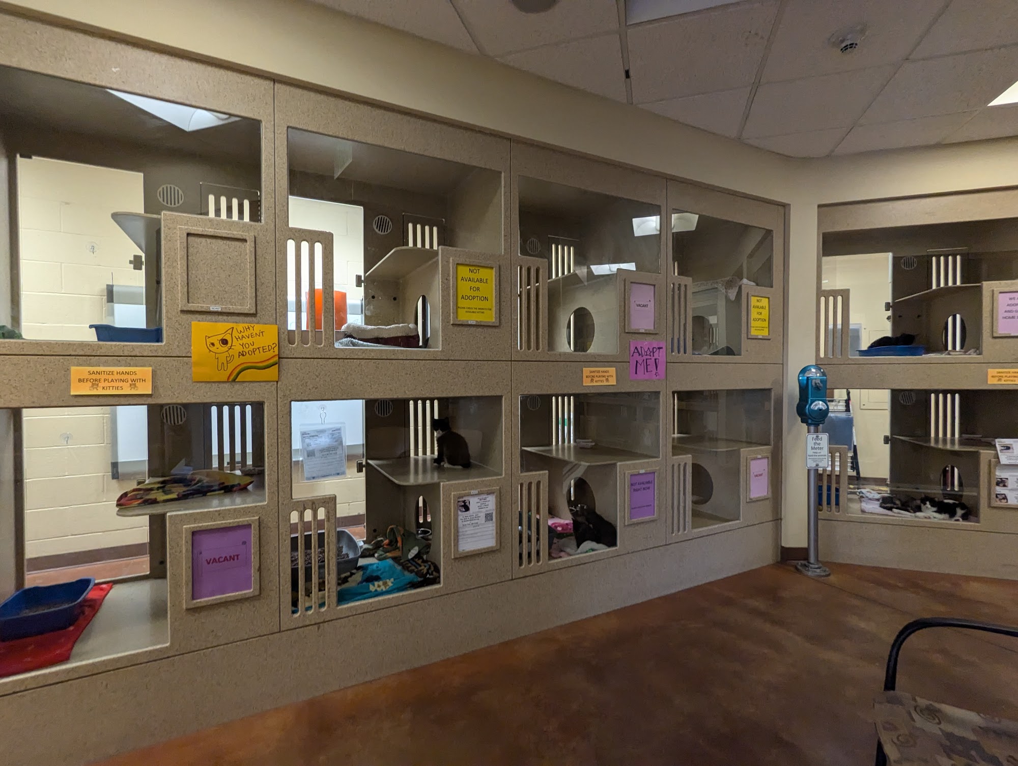 Front Street Animal Shelter Sacramento