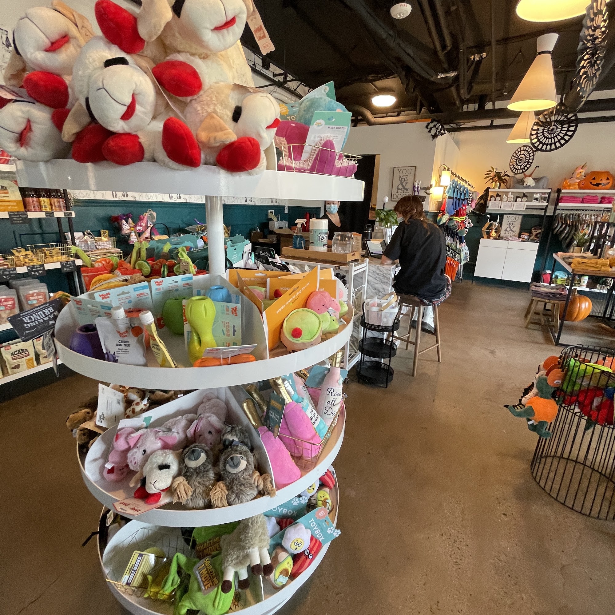 Leash and Collar Dog Boutique Sacramento