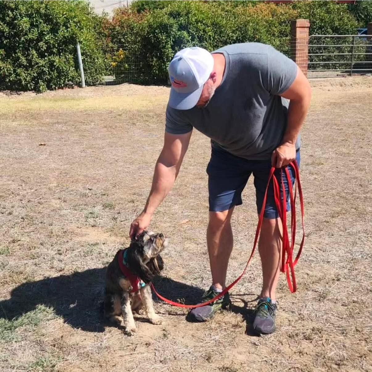 All Dog Training Sacramento