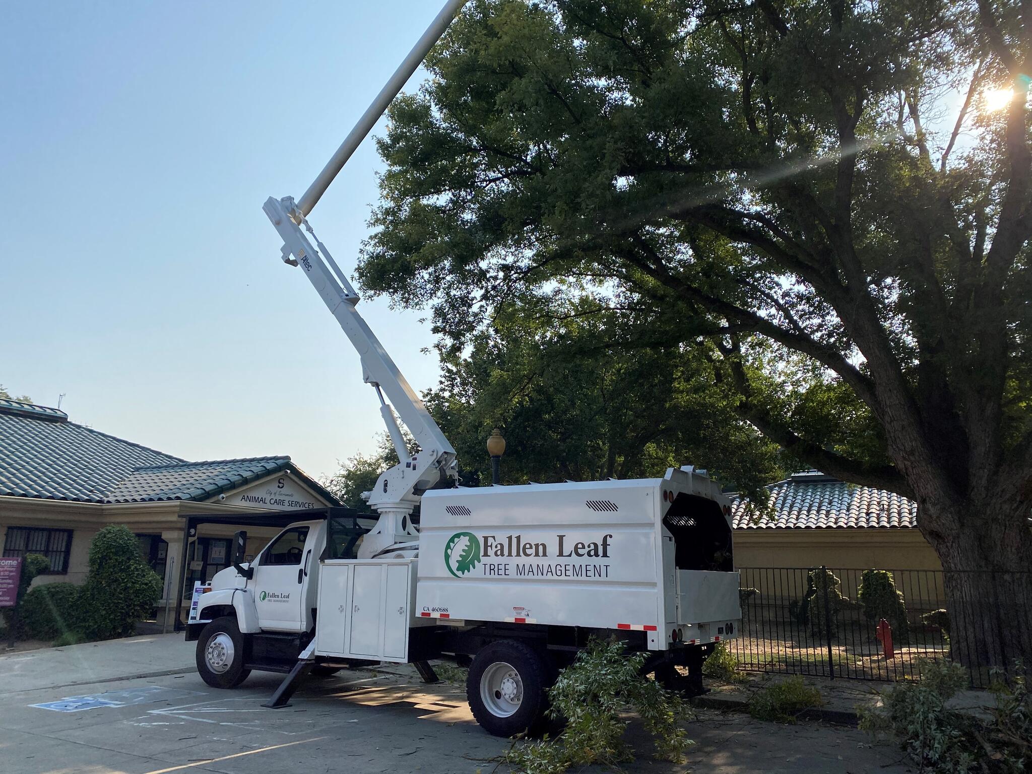 Photo credit: nextdoor