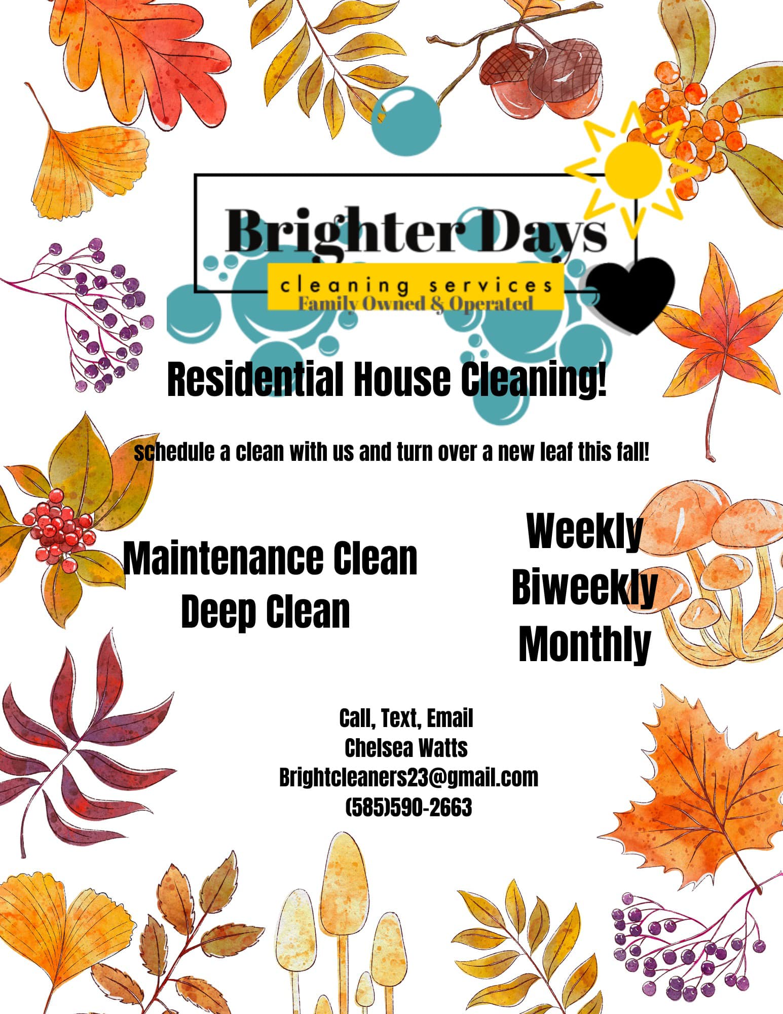 Brighter Days Cleaning Services