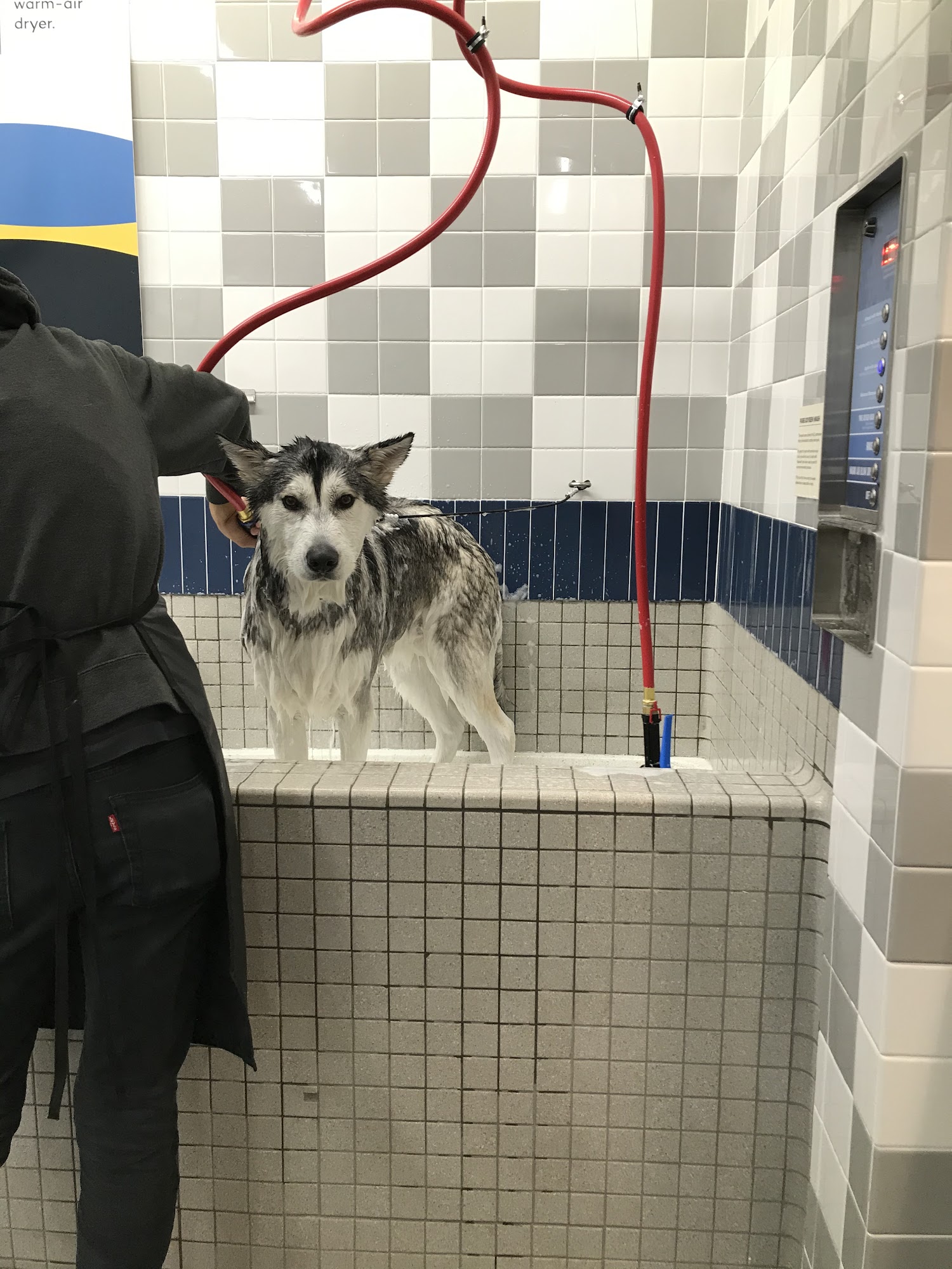 Pet Food Express Sacramento