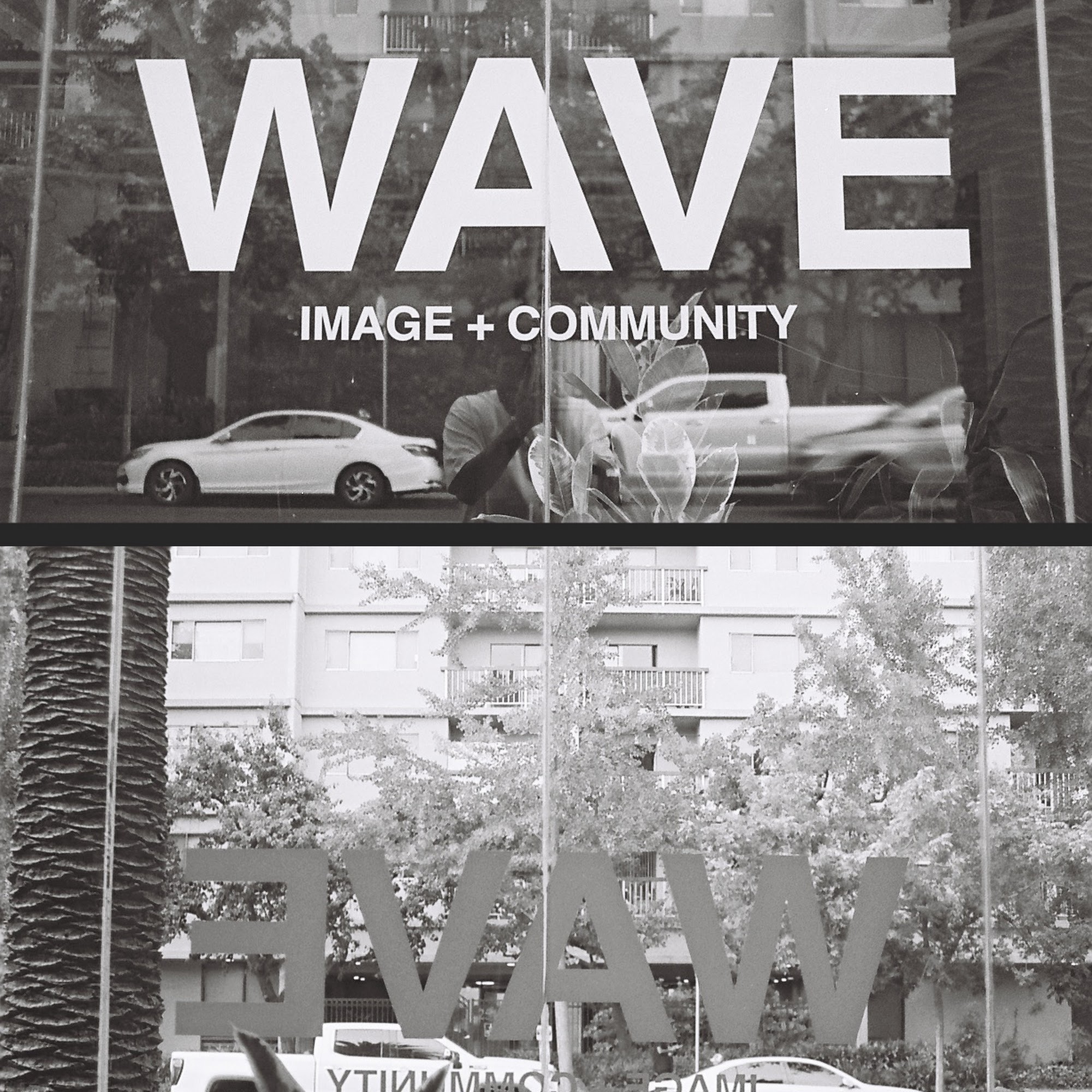 wave