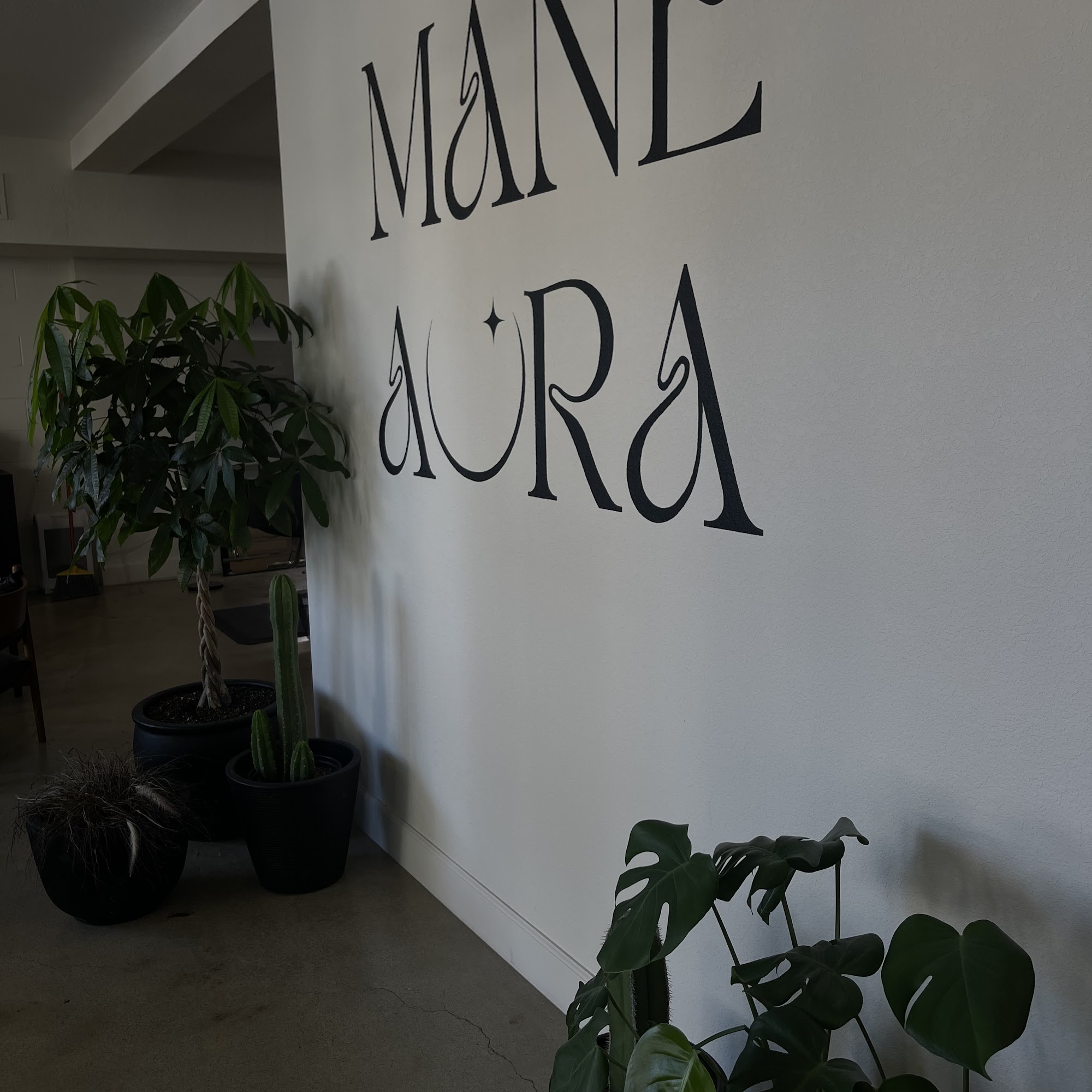 Mane Aura 1712 L St, Sacramento California 95811