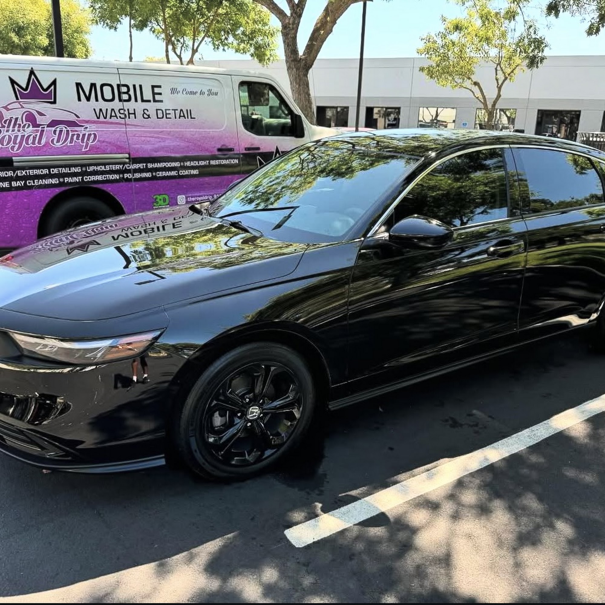 The Royal Drip Auto Detail