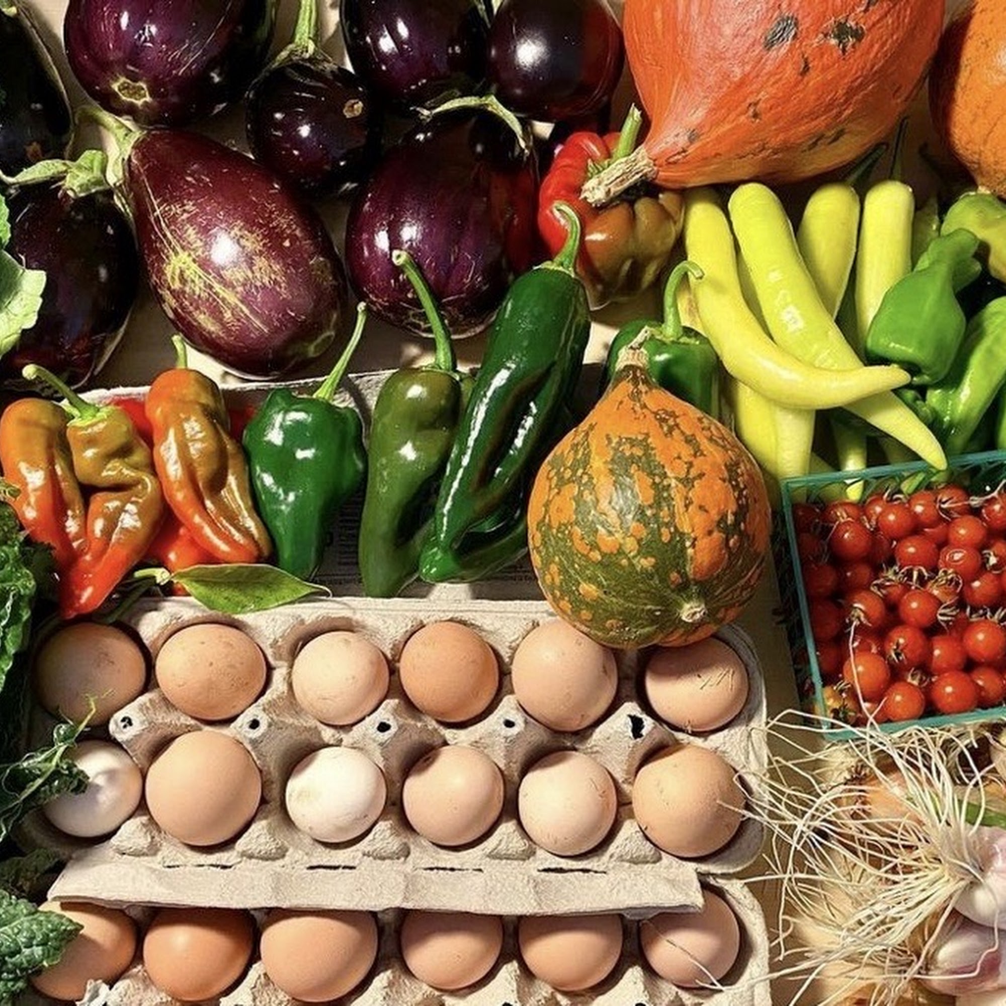 Yisrael Farms Sacramento
