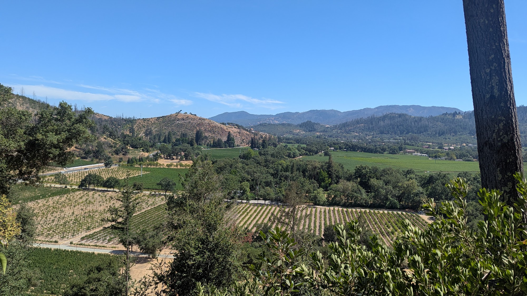 Rombauer Vineyards Menu