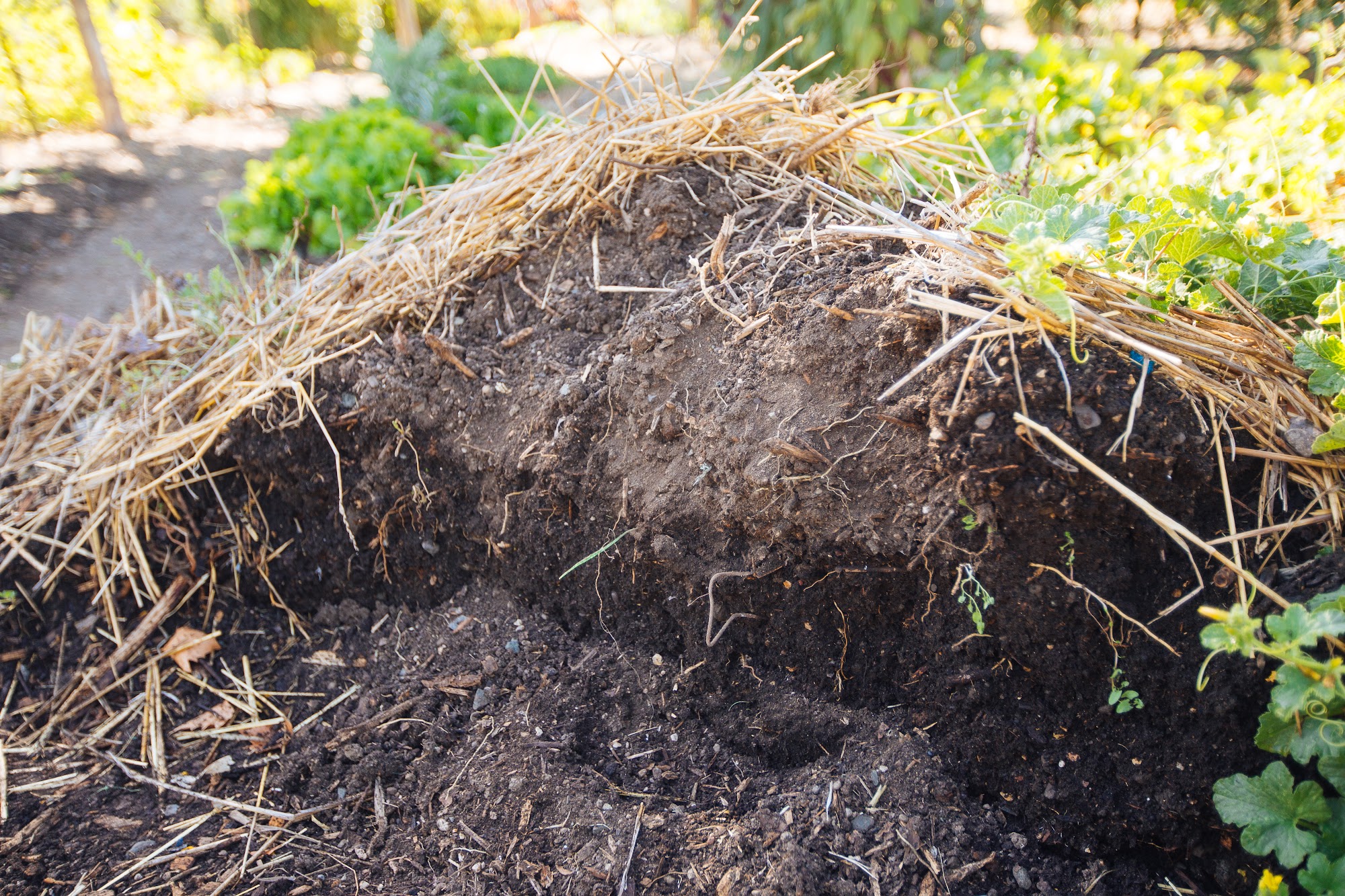 Raymond Vineyards Saint Helena