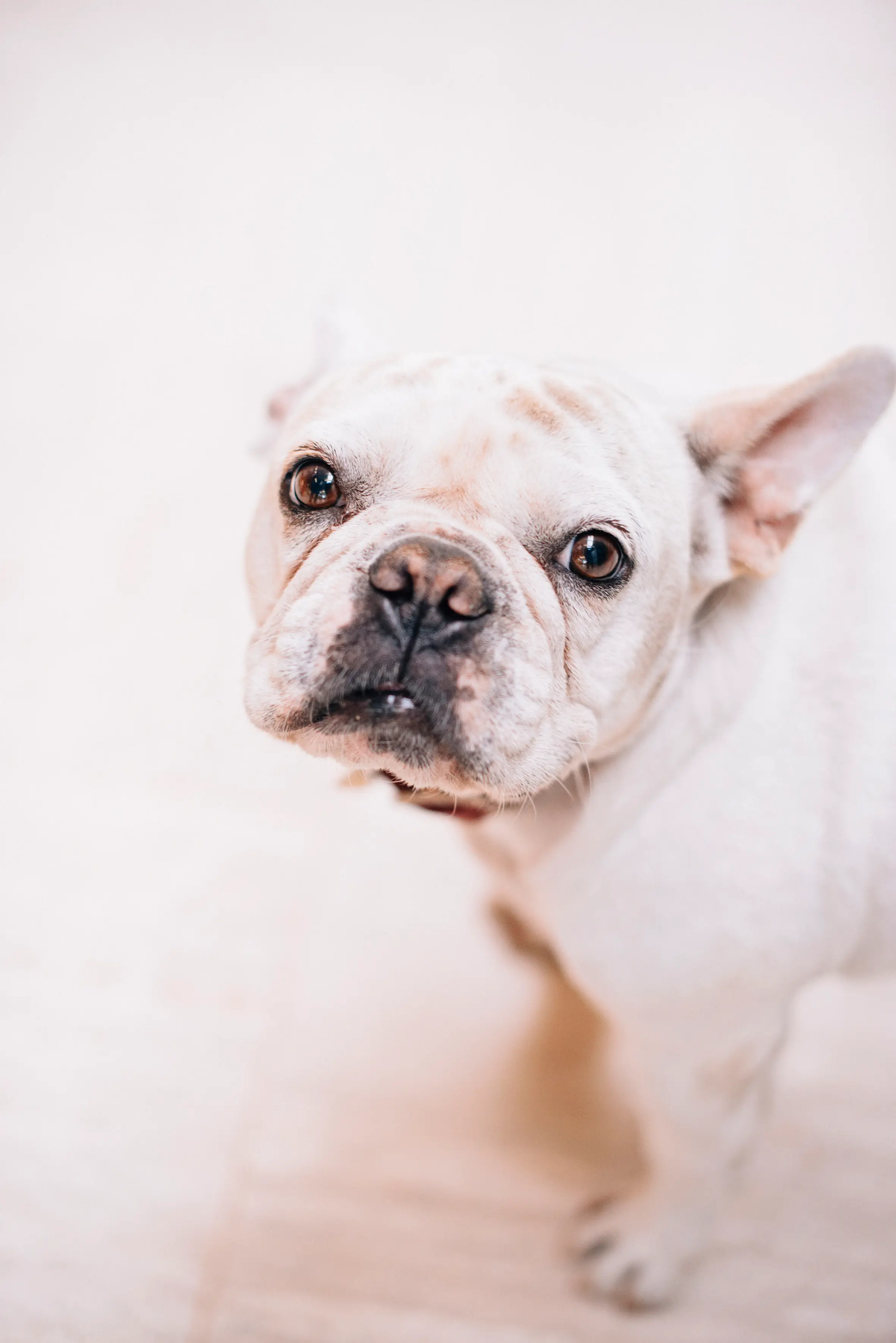 Raymond Vineyards Menu