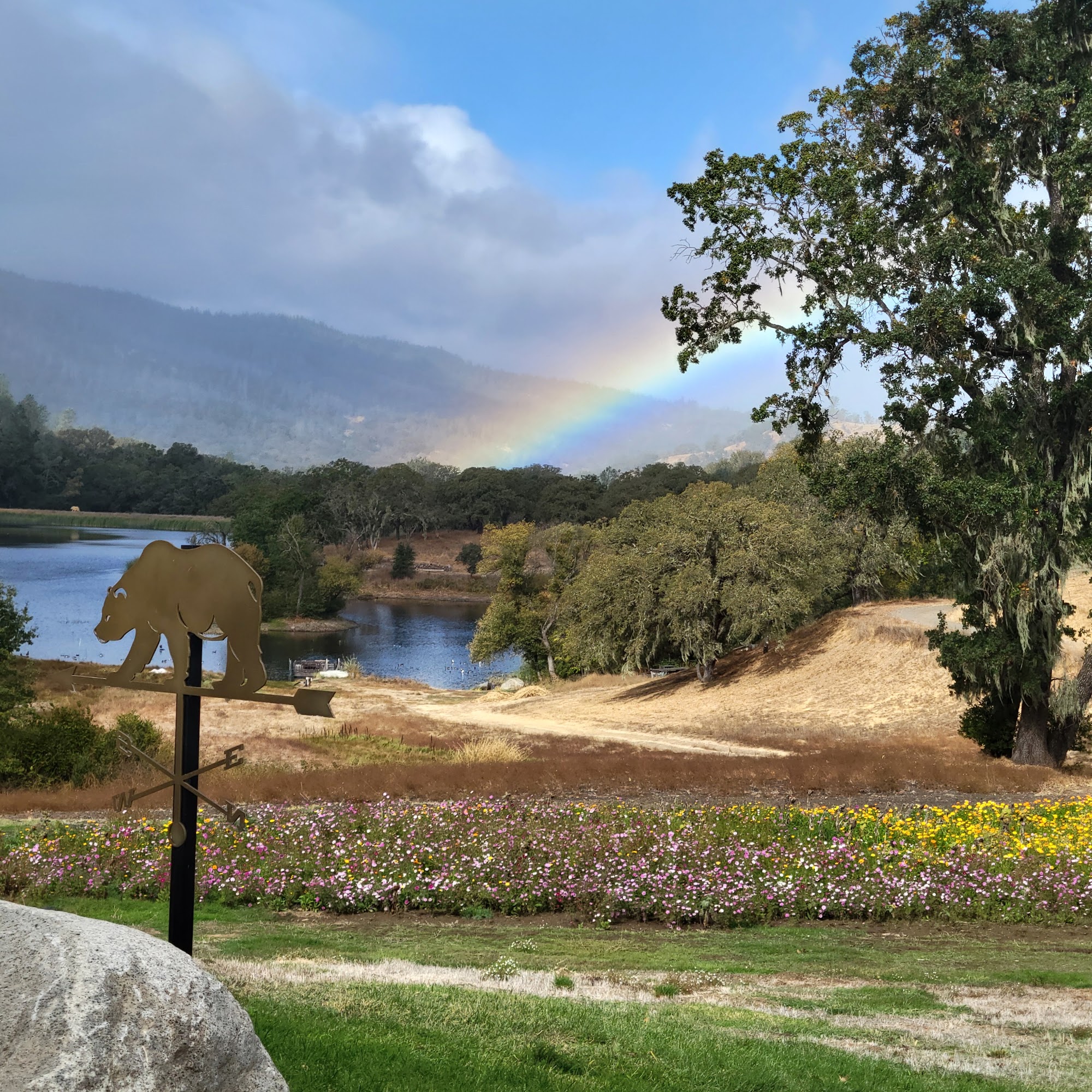 Maxville Winery Saint Helena