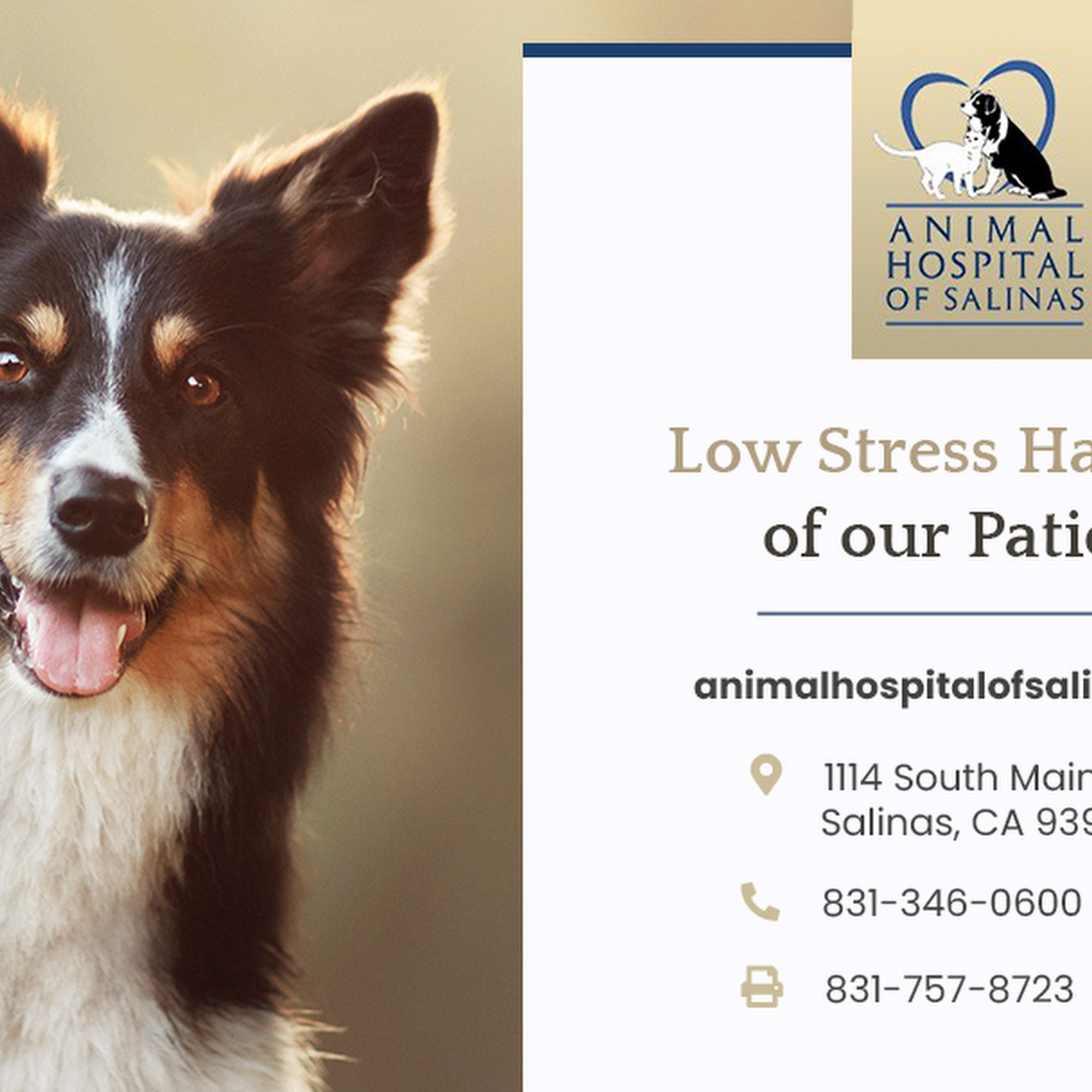 Animal Hospital of Salinas Salinas
