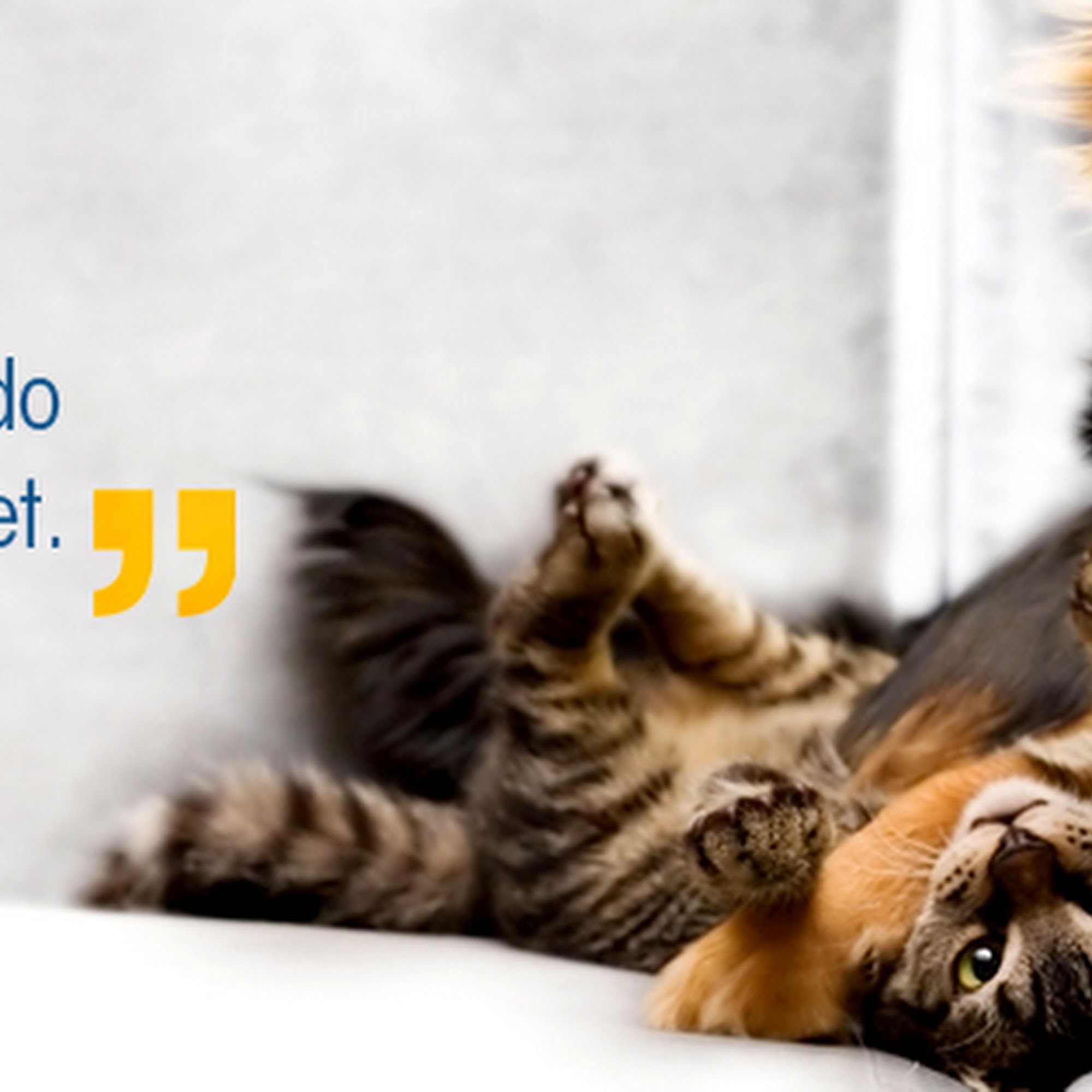 Animal Health Center Salinas