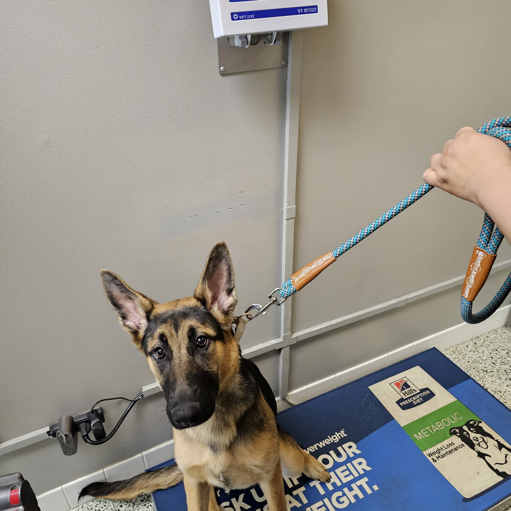 Romie Lane Pet Hospital Salinas